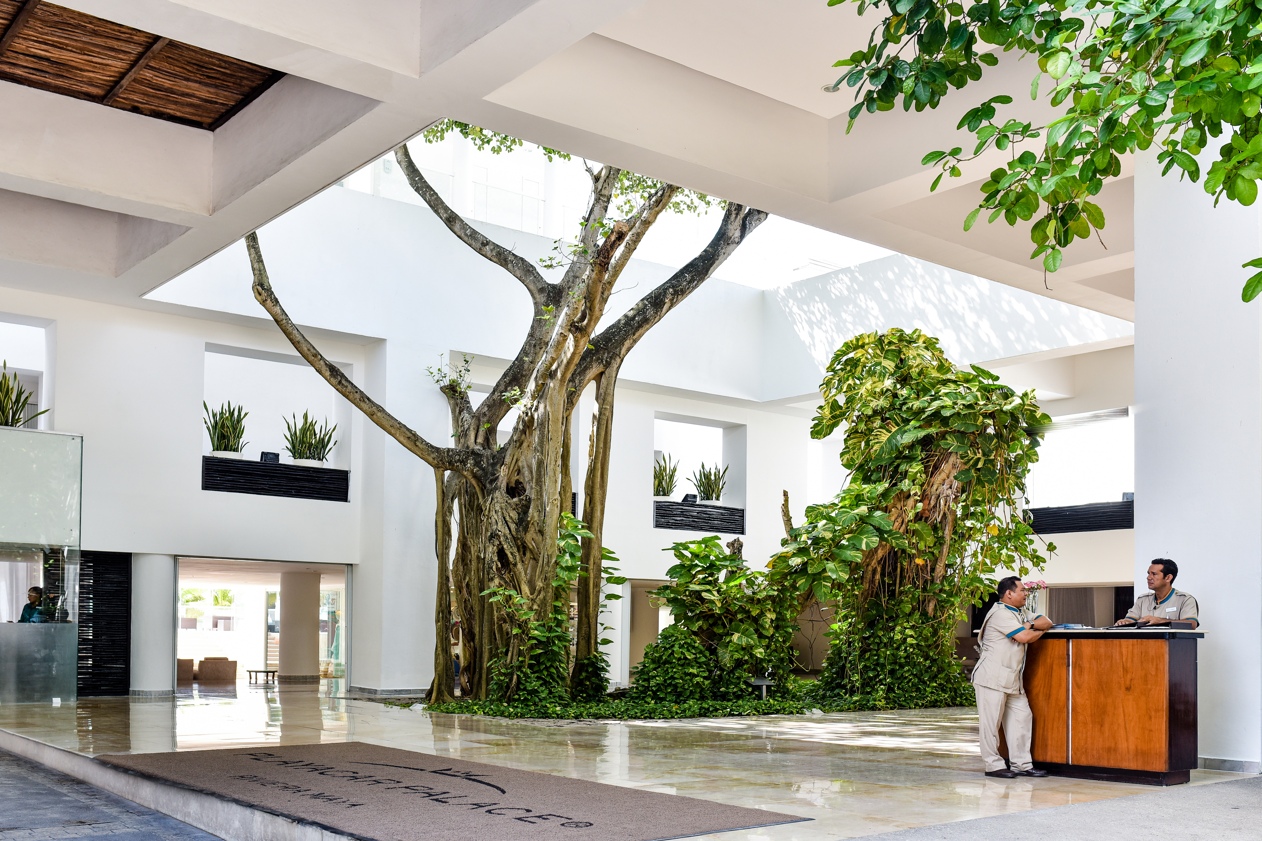 Playacar Palace All Inclusive - photo