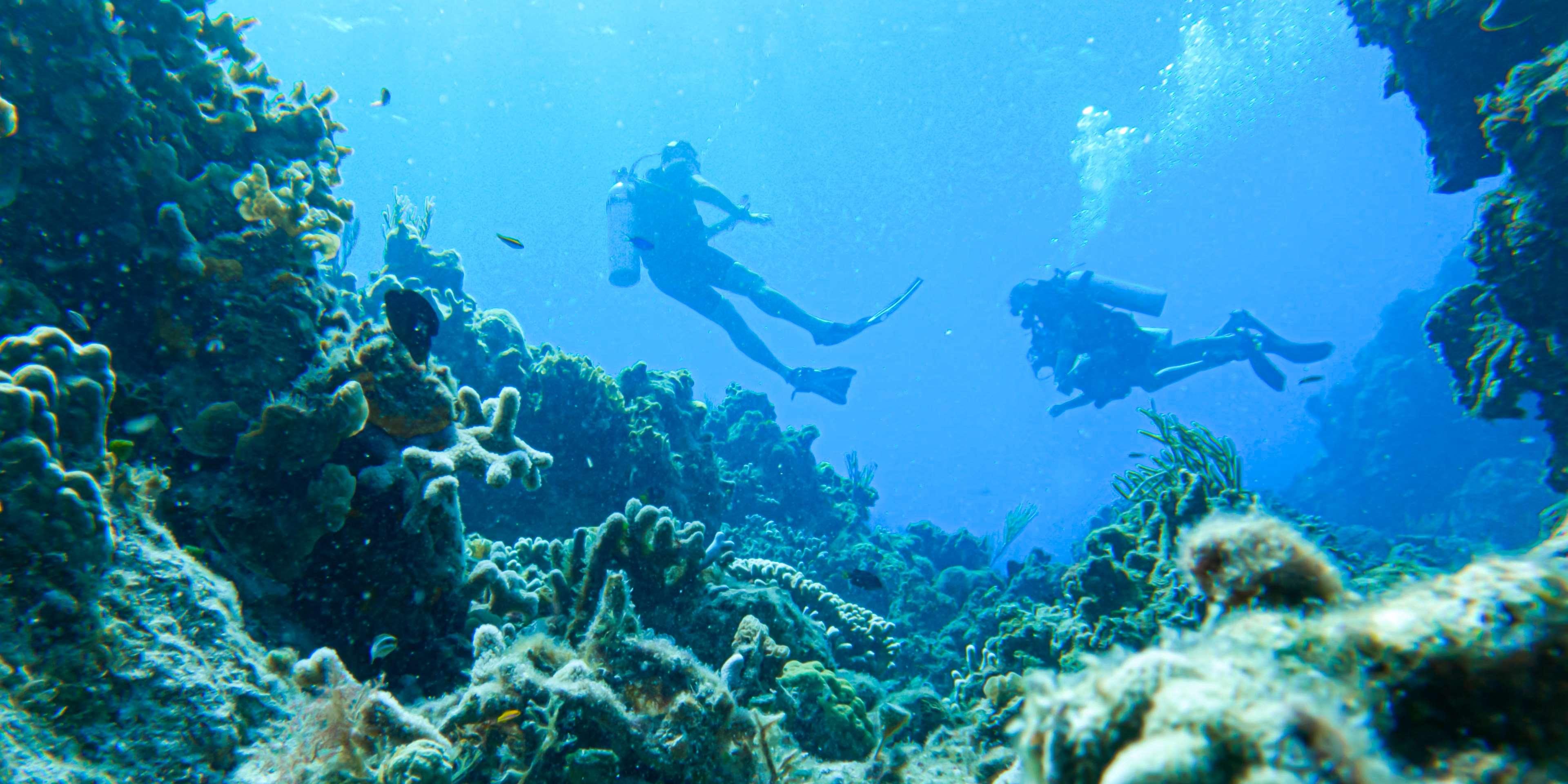 Occidental Cozumel by null