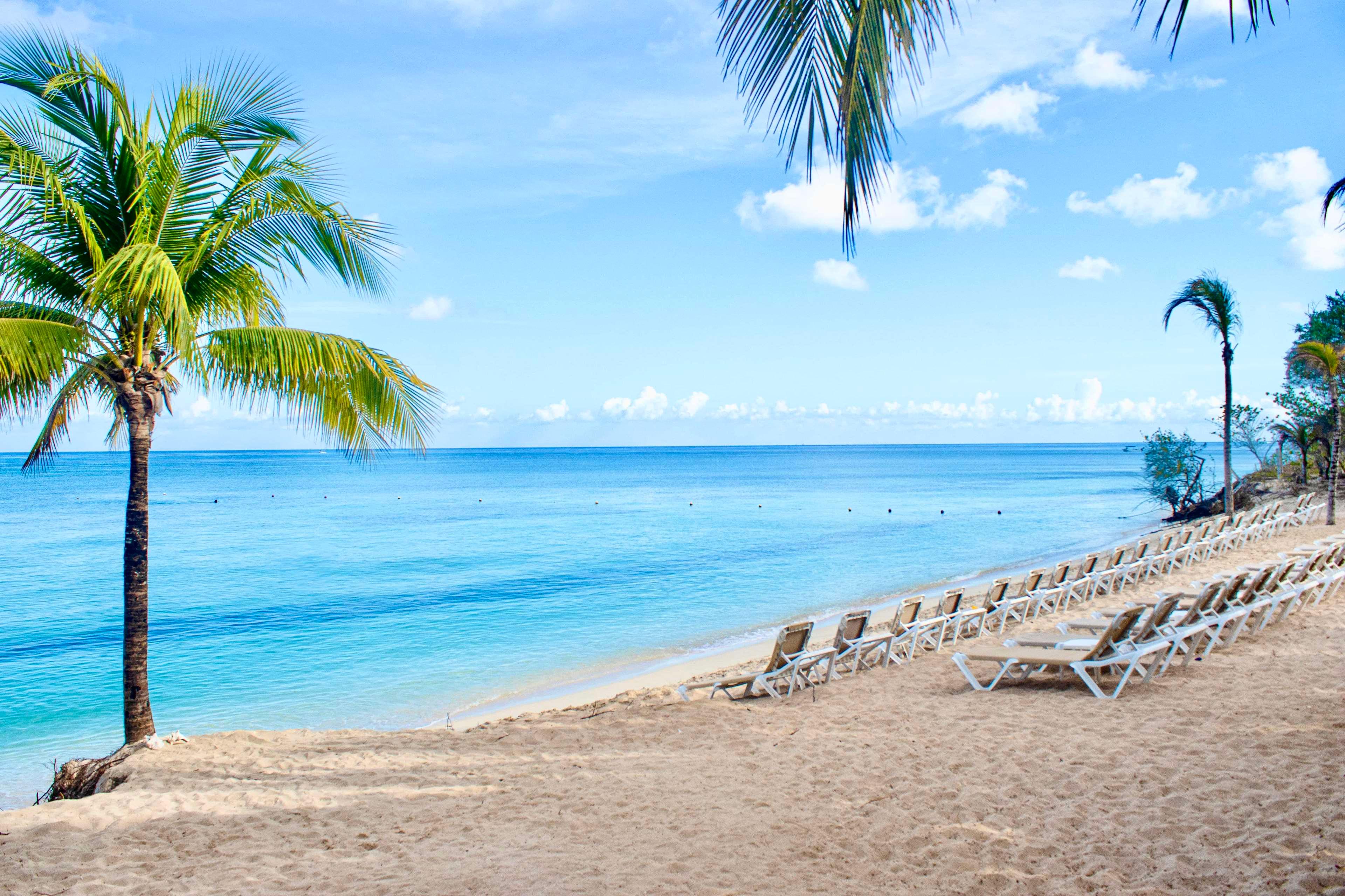 Occidental Cozumel by null