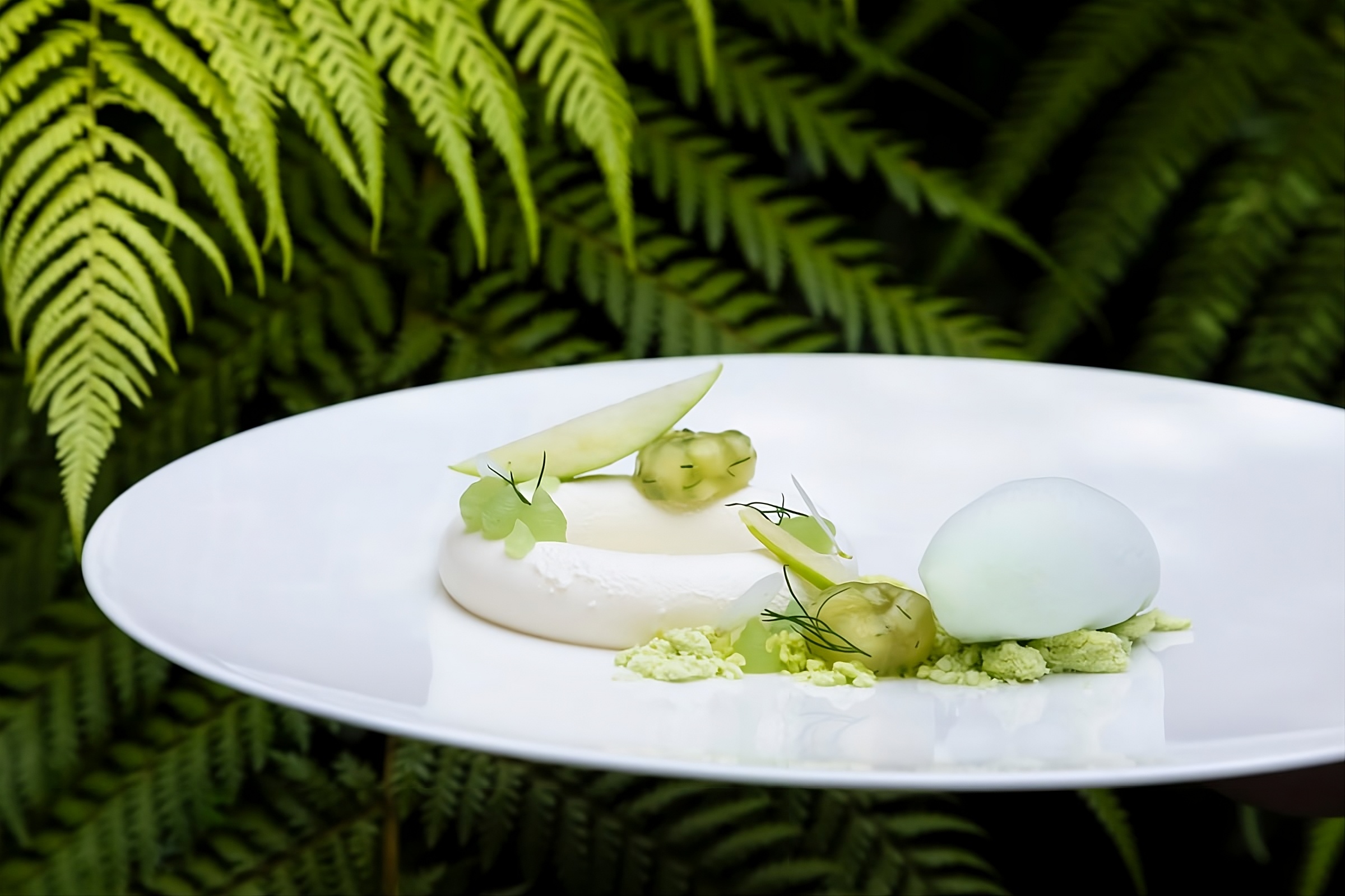 Hotel Regency by null