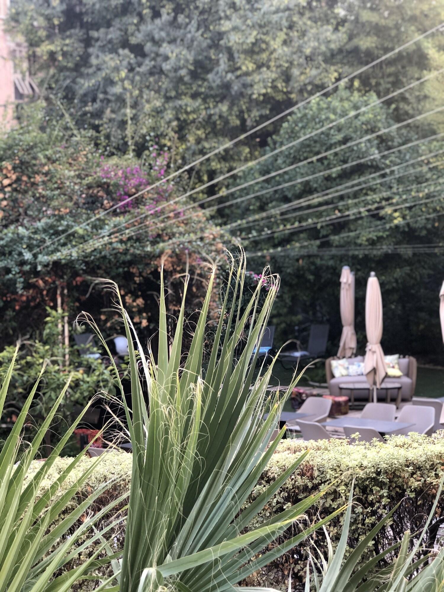 Villa Victoria - photo