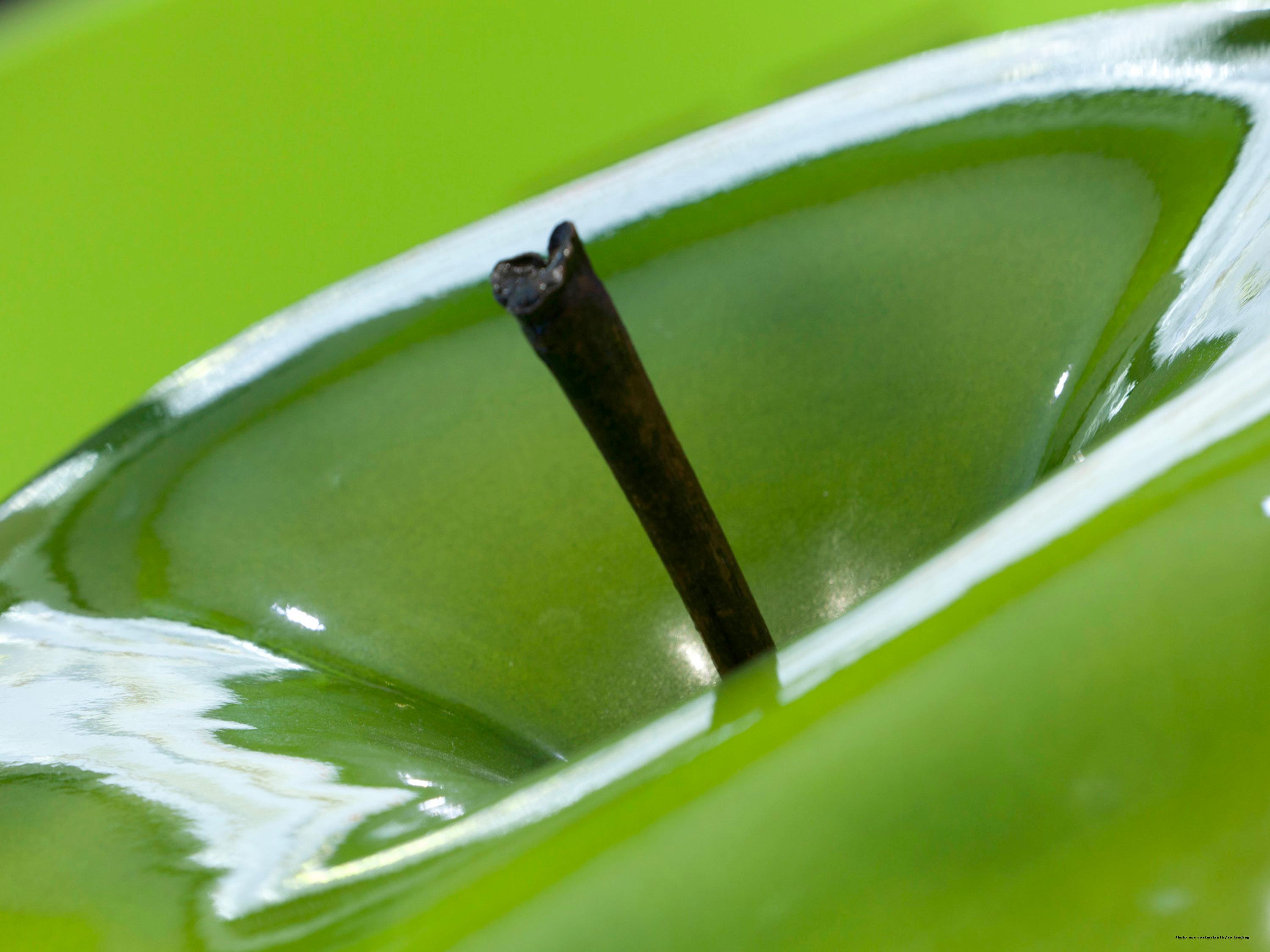 Pullman Paris Montparnasse - photo