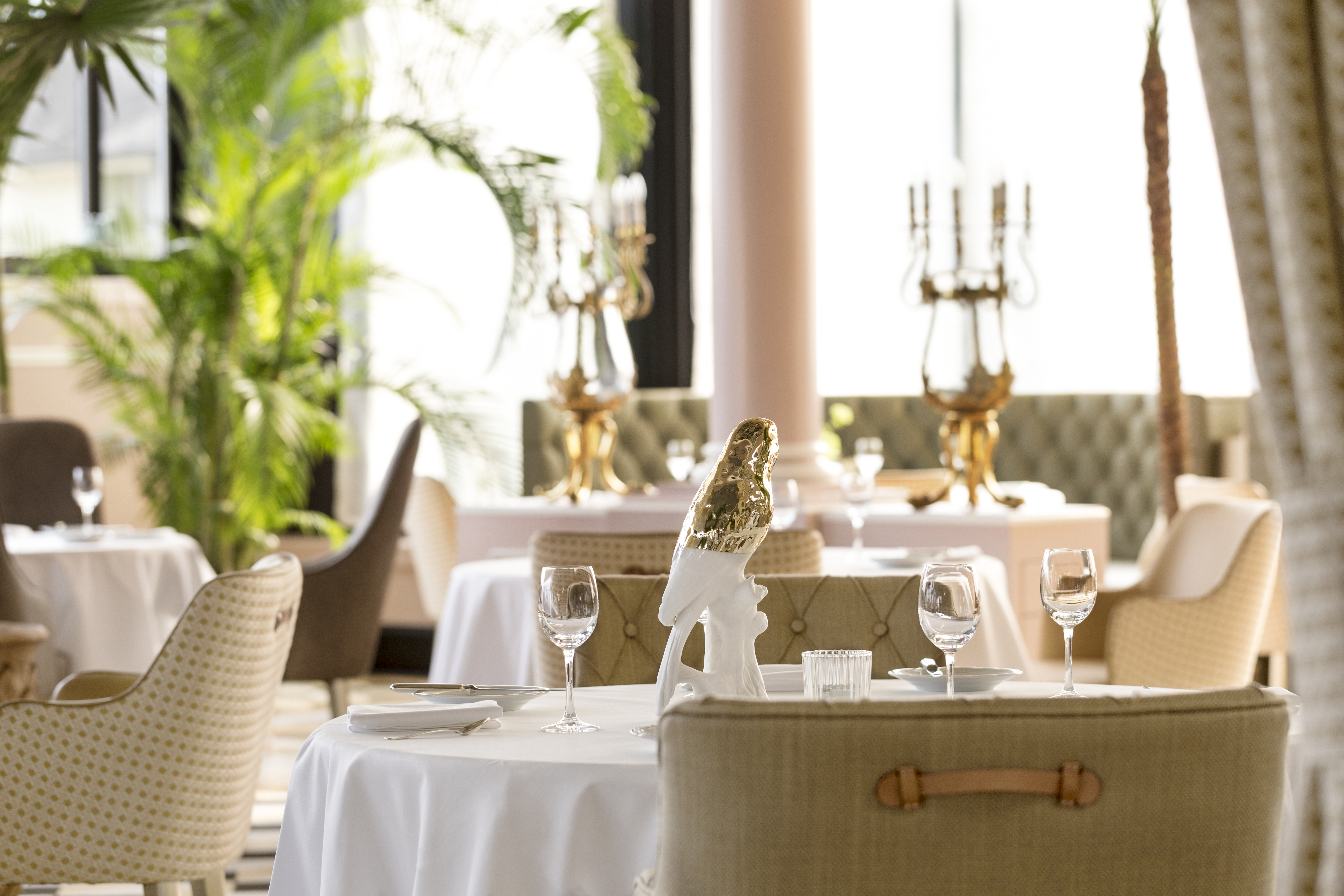 Victoria-Jungfrau Grand Hotel and Spa