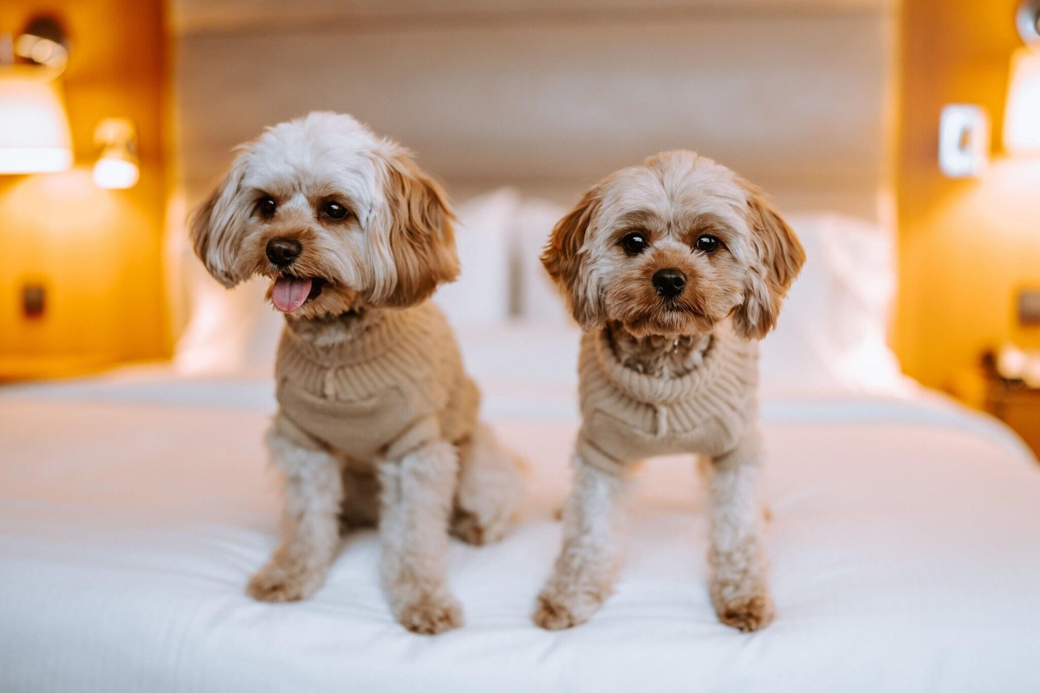 The Westin Warsaw - фото