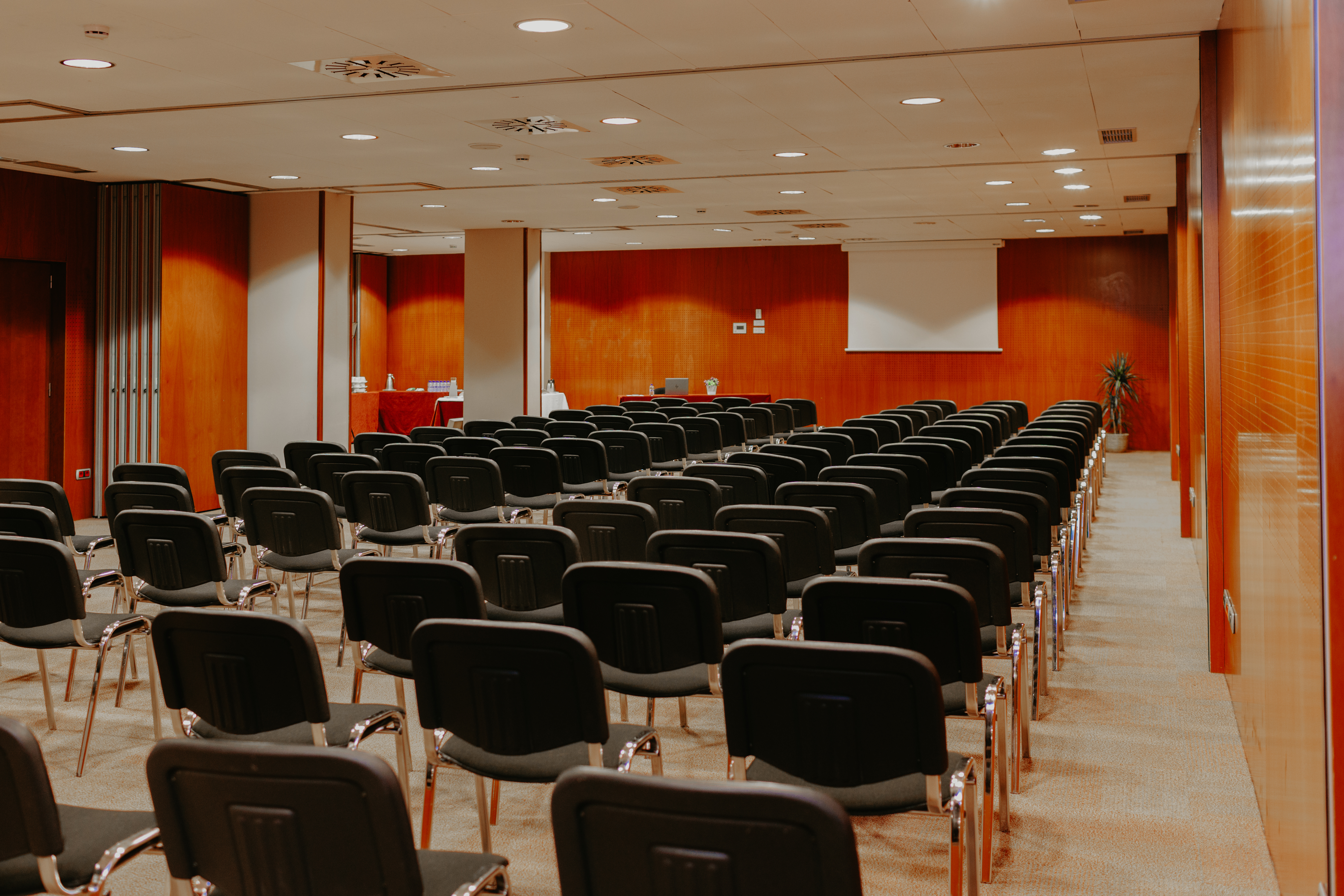 Acevi Villarroel - фото