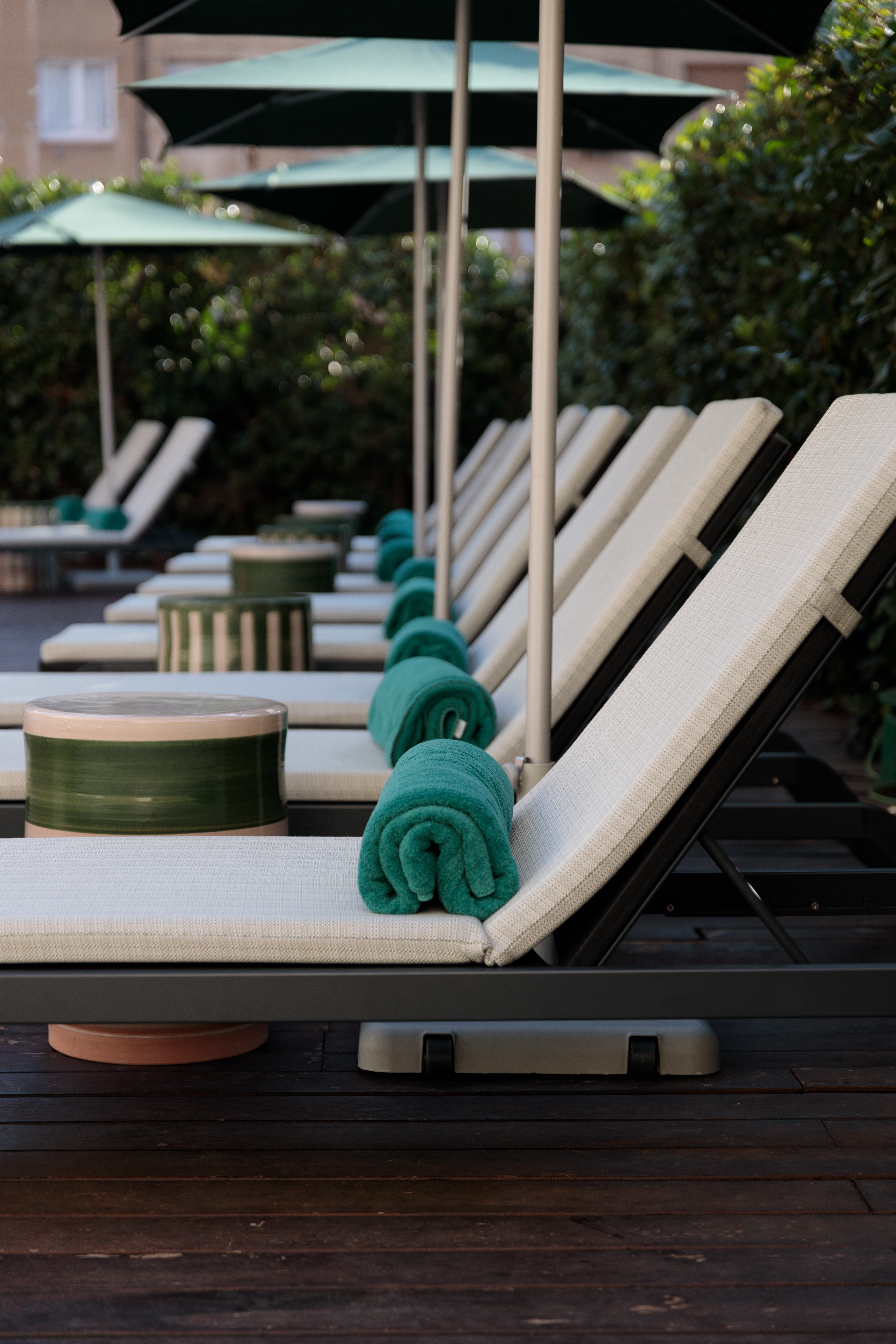 Acevi Villarroel - фото