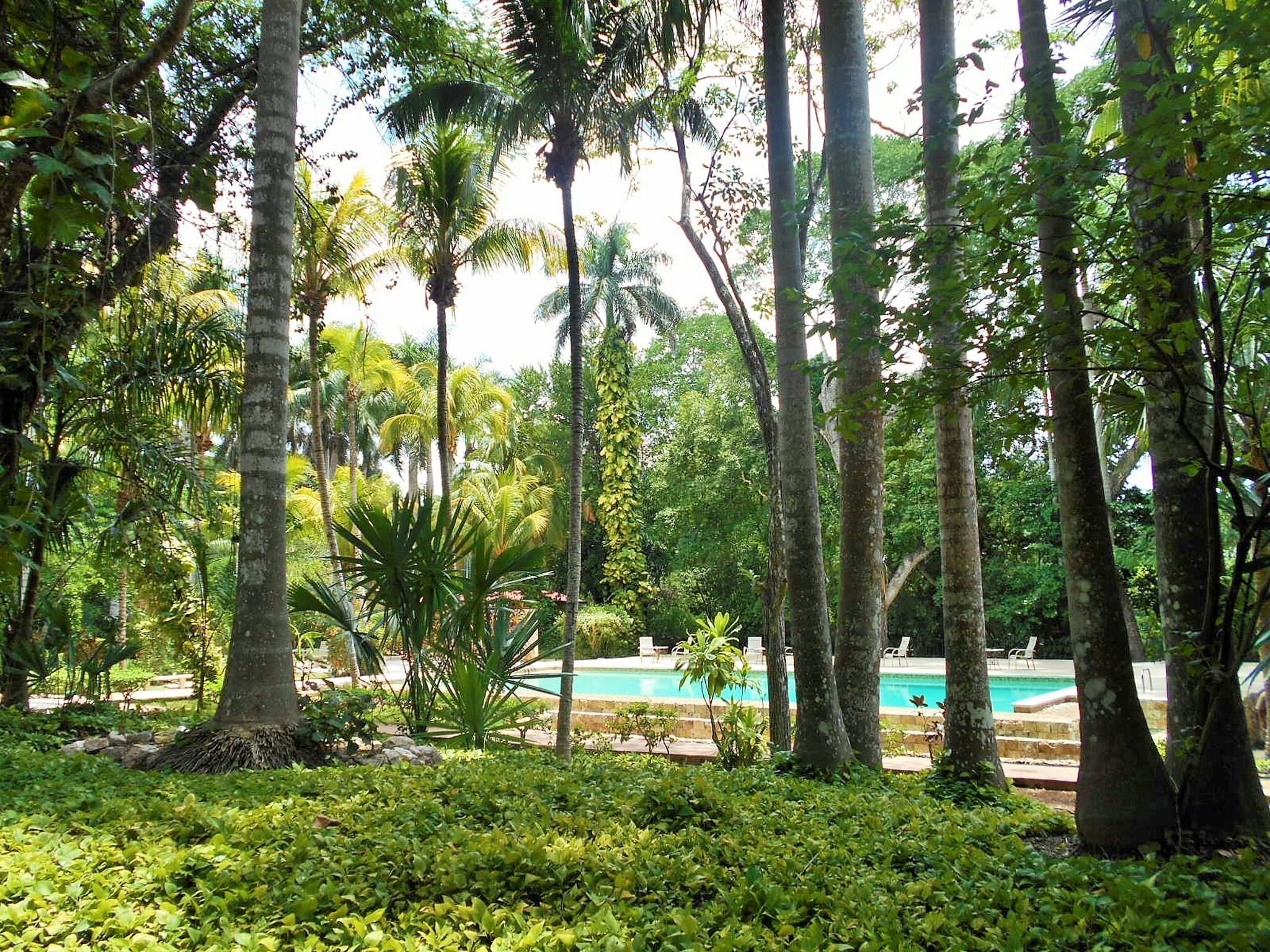 Hacienda Chichen resort by null