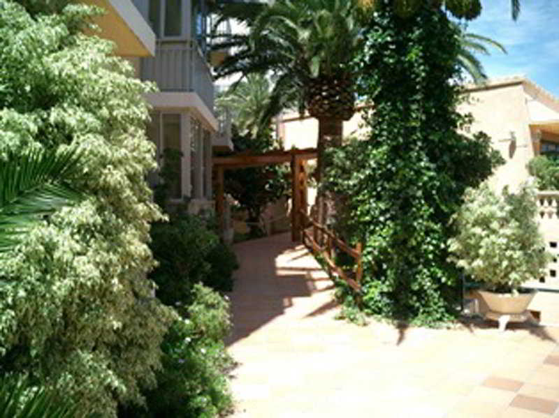 Apartamentos Palm Court by null