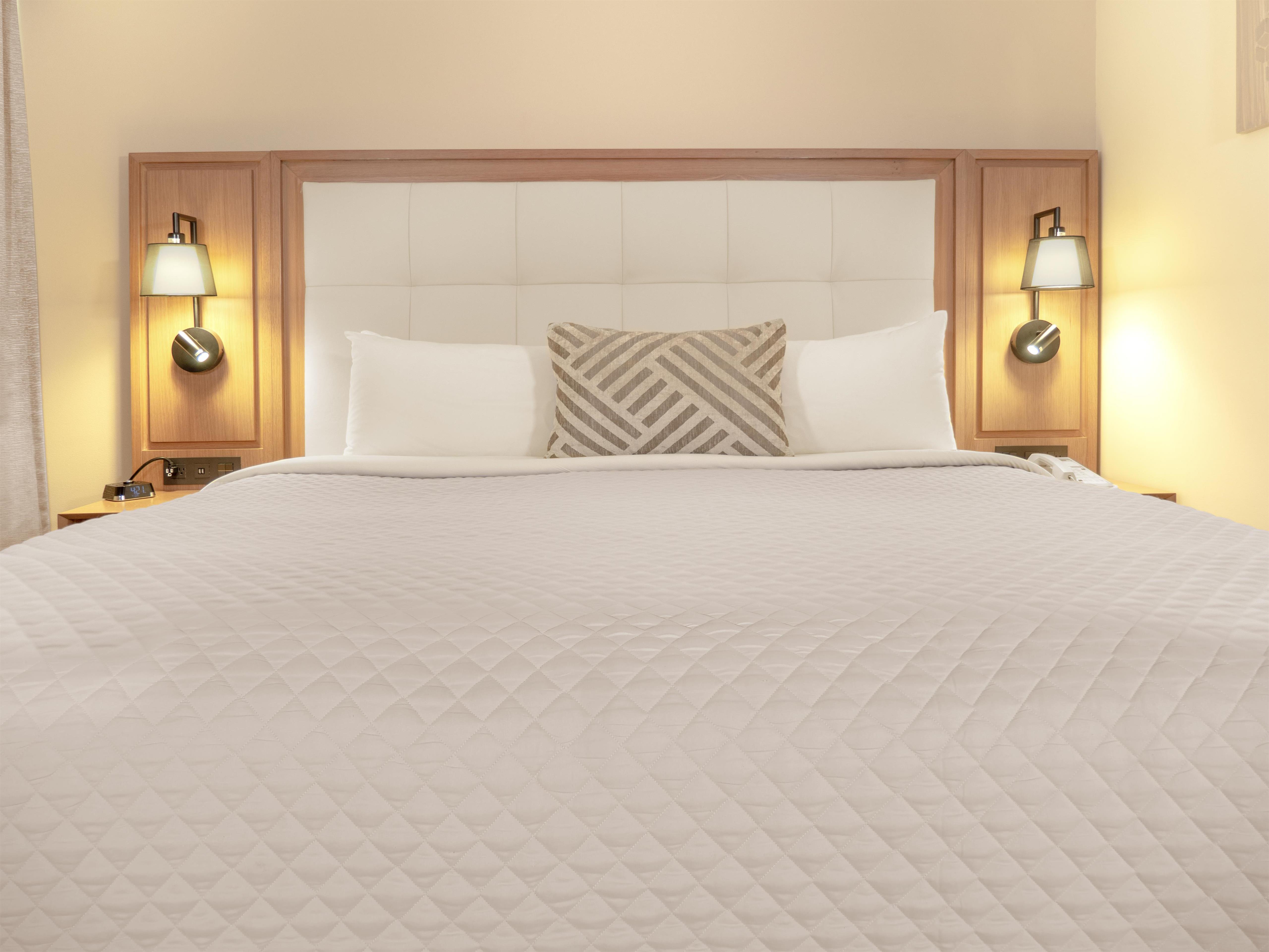 MS Milenium Monterrey, Curio Collection by Hilton