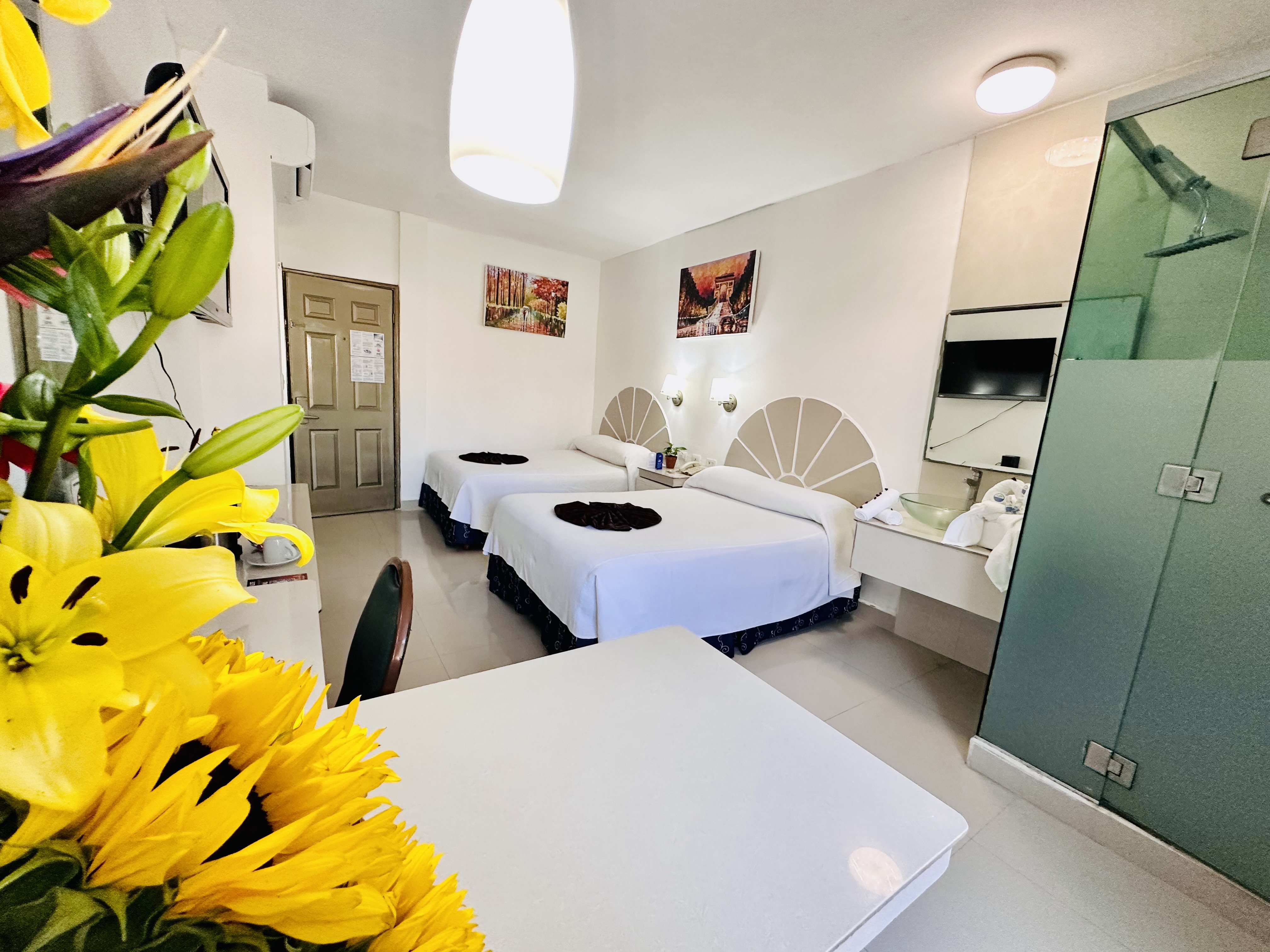 Hotel Plaza Caribe by null