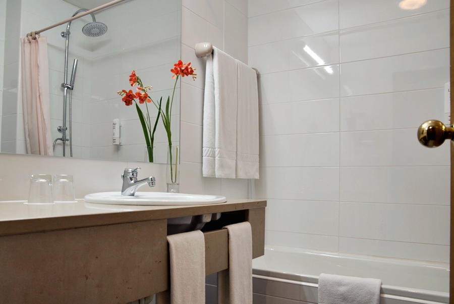 Hotel Rainha D. Amélia, Arts & Leisure by null