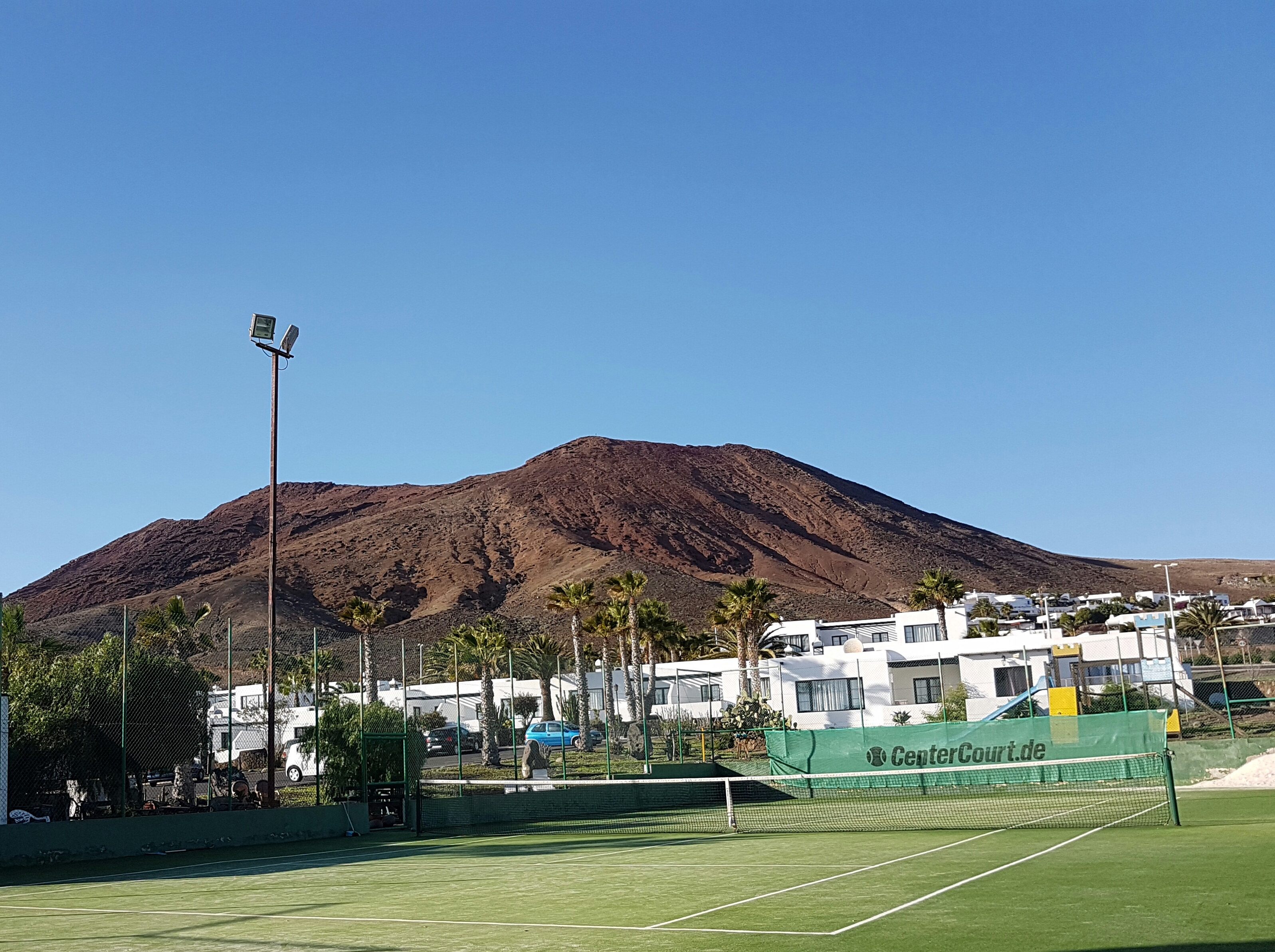 Palmeras Garden