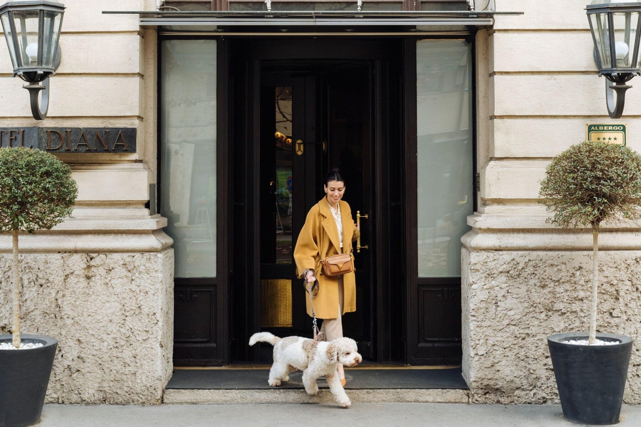 Sheraton Diana Majestic - photo