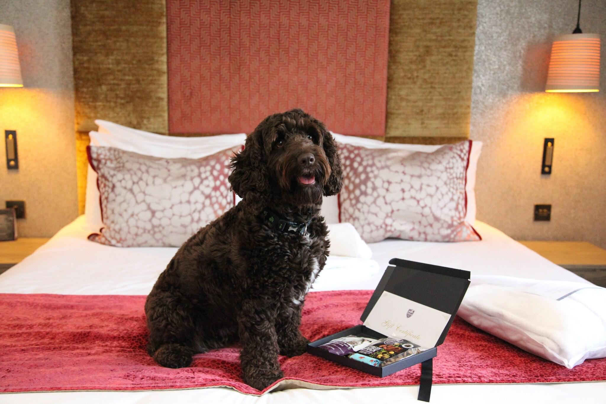 Gonville Hotel by null