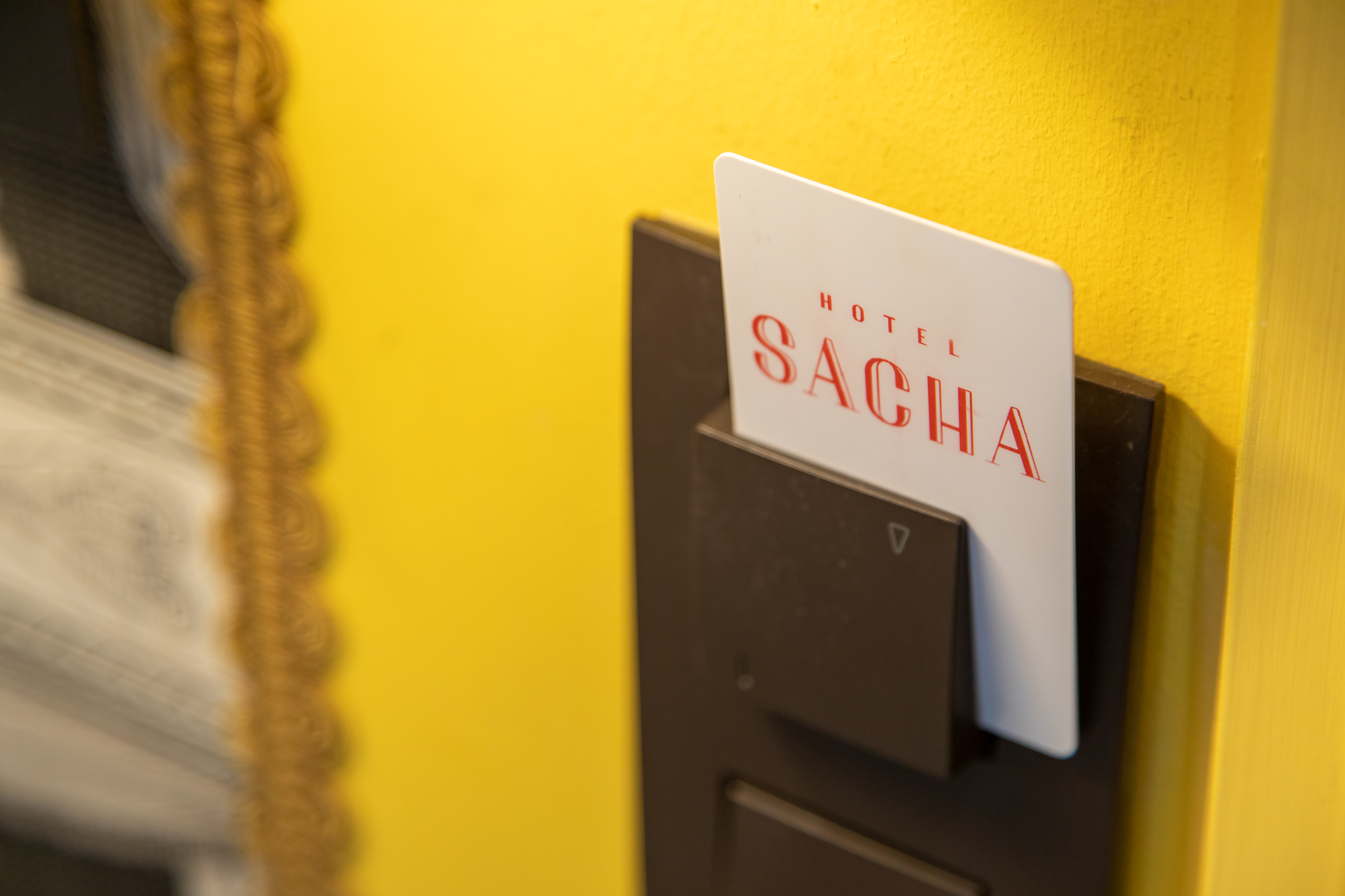 Hotel Sacha