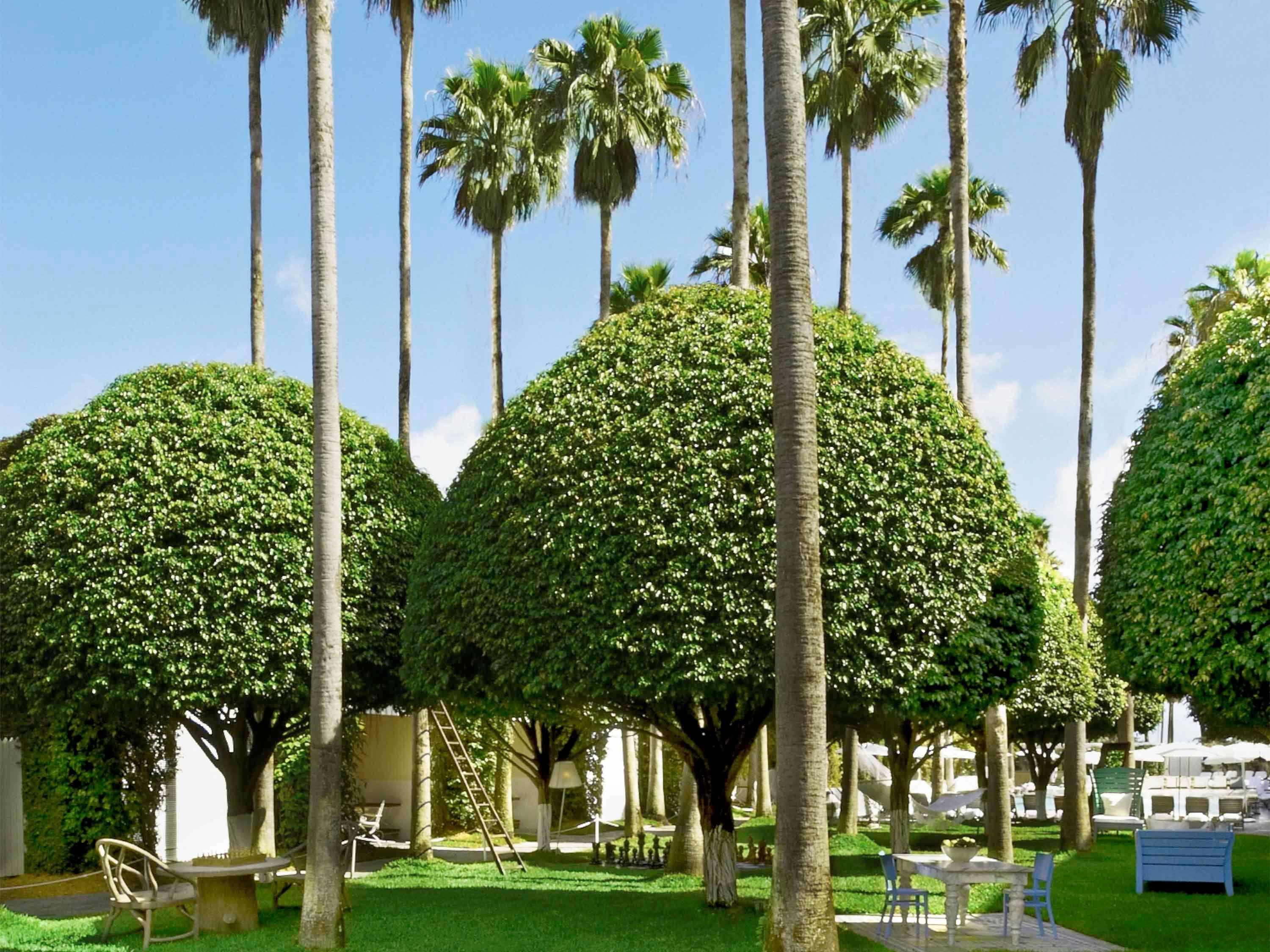 Delano Miami Beach by null