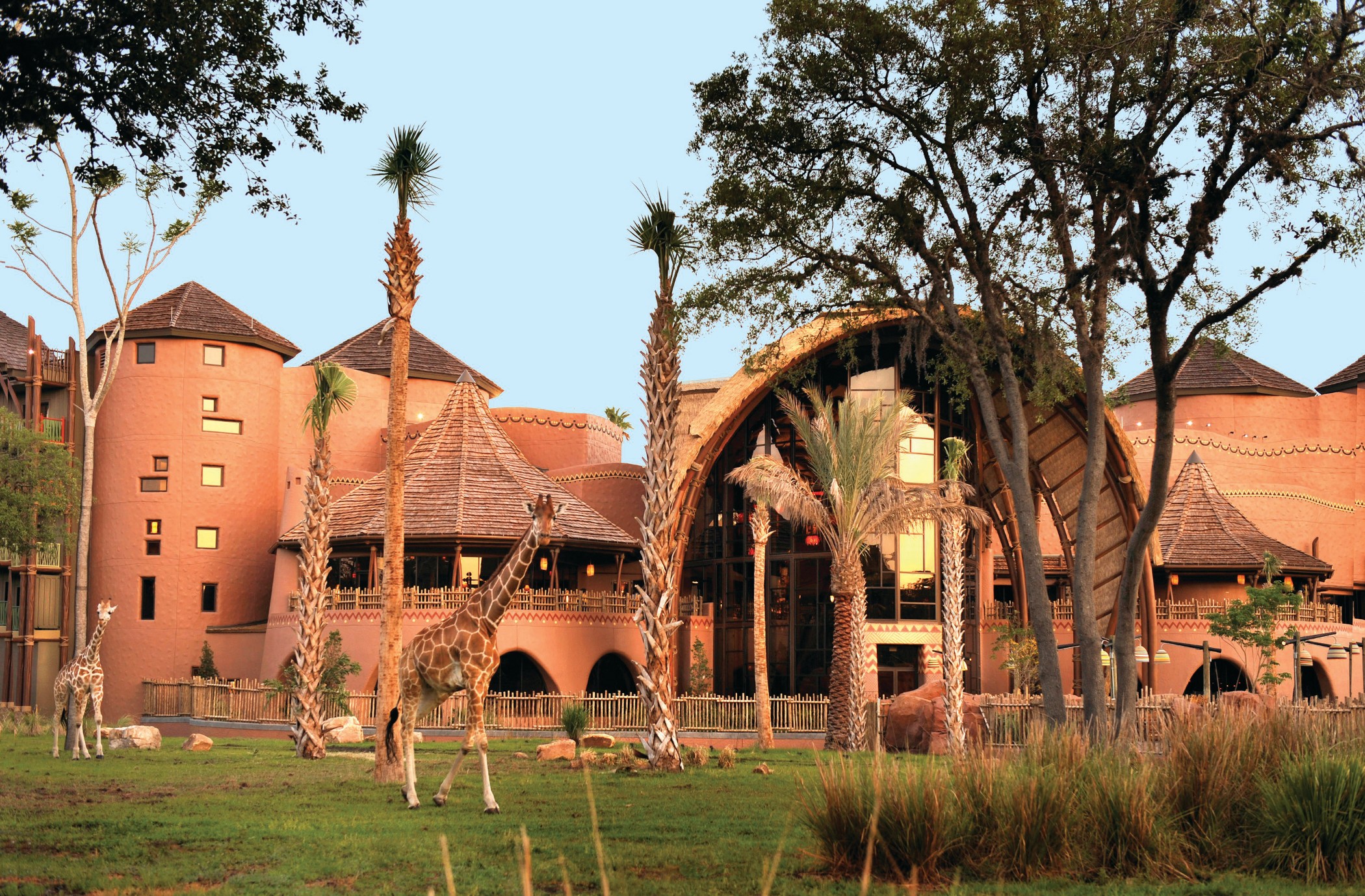 Disney's Animal Kingdom Lodge image