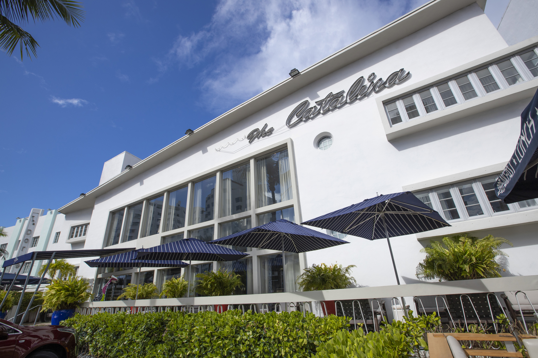 The Catalina Hotel & Beach Club image