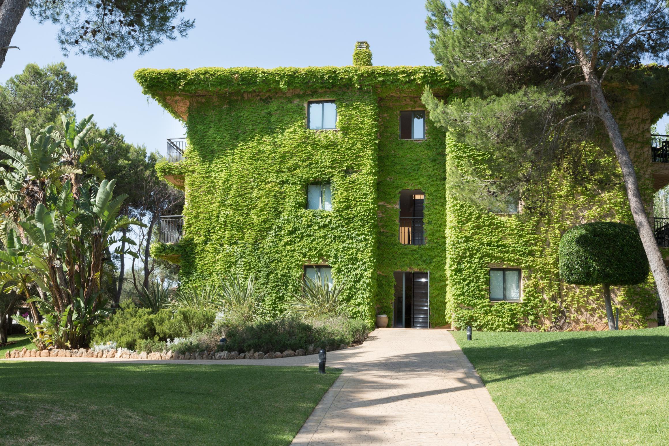 FERGUS Club Vell Marí