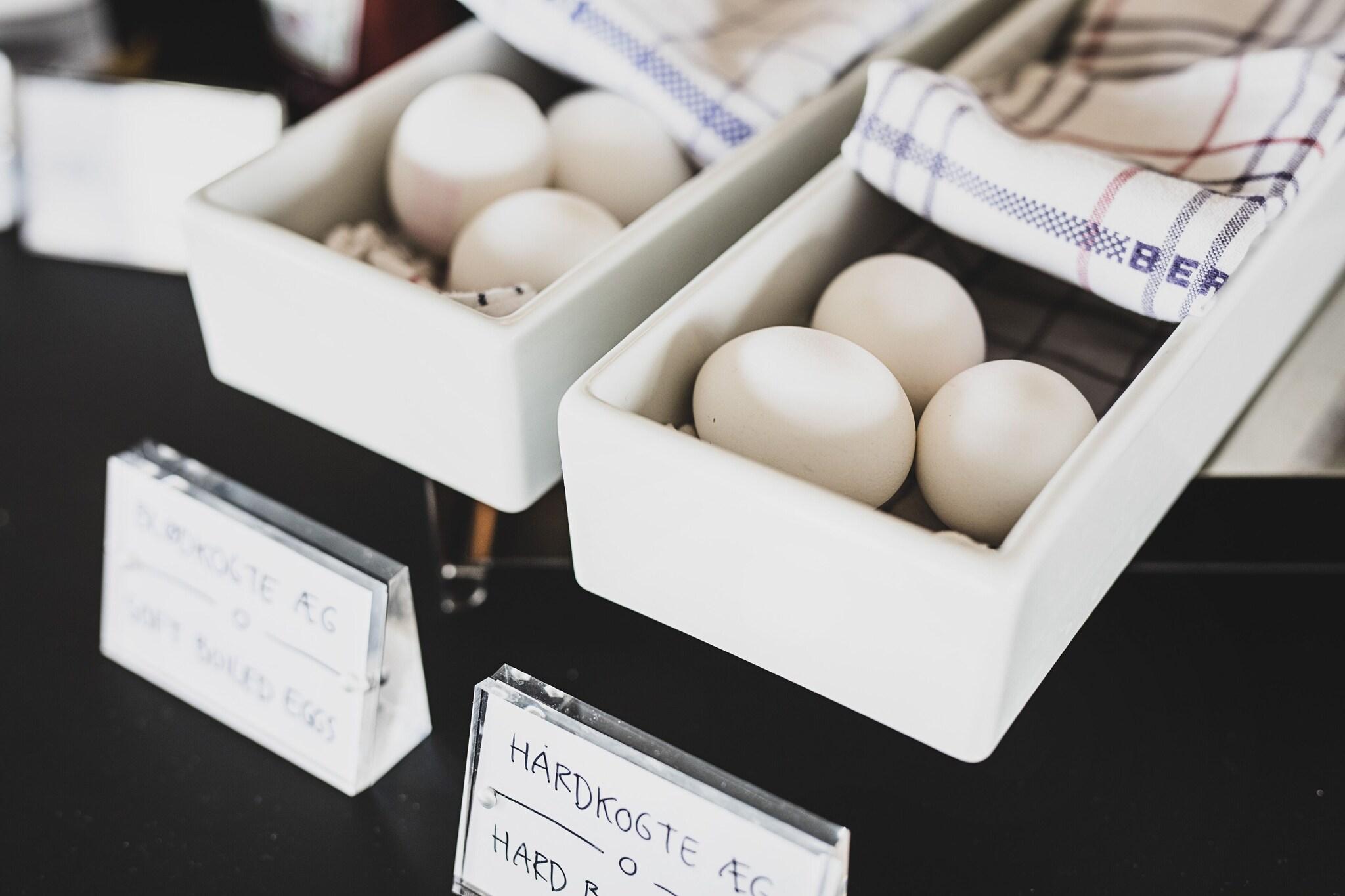 Hotel Atlantic by null