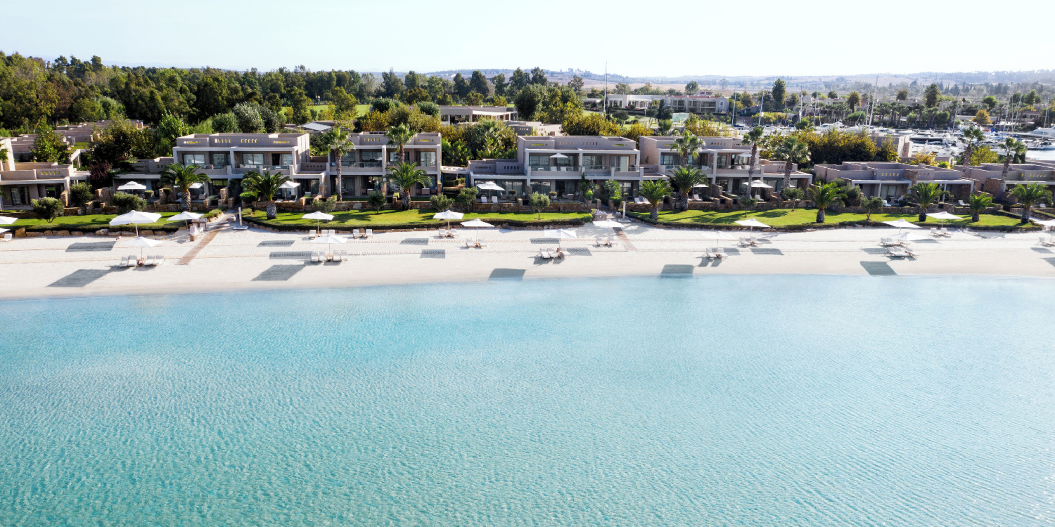 Sani Asterias - photo