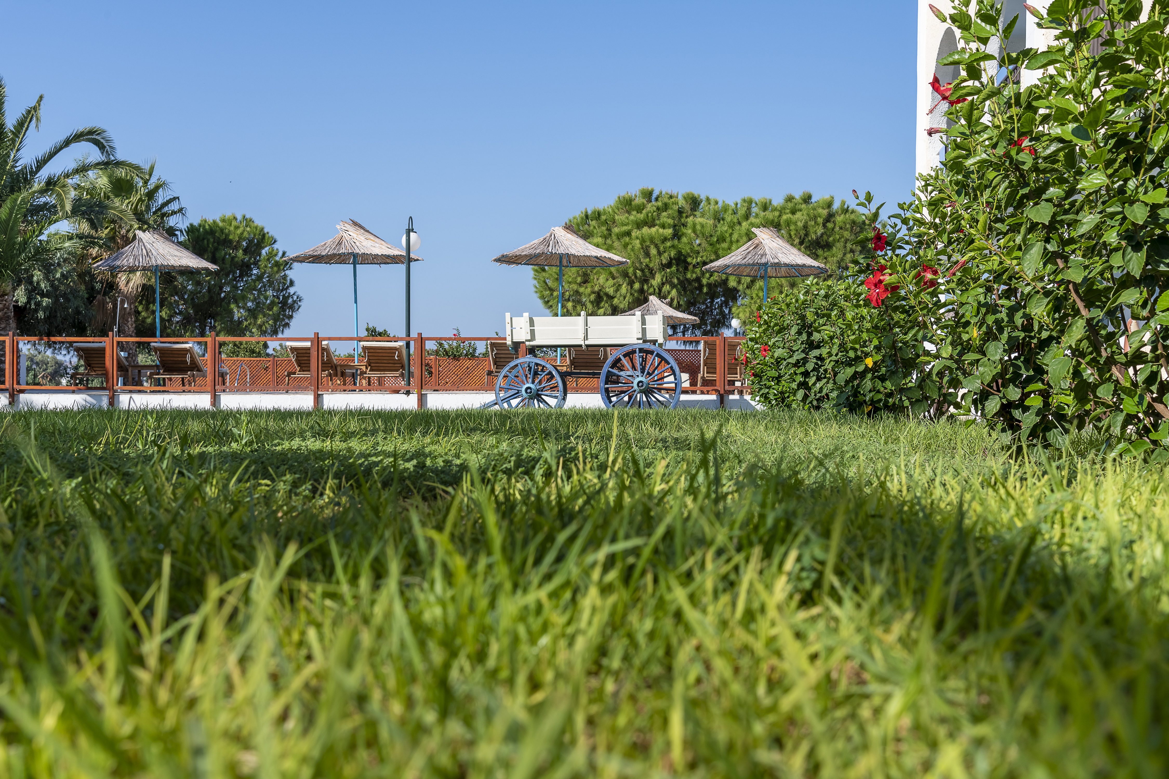 Kalimera Mare - фото