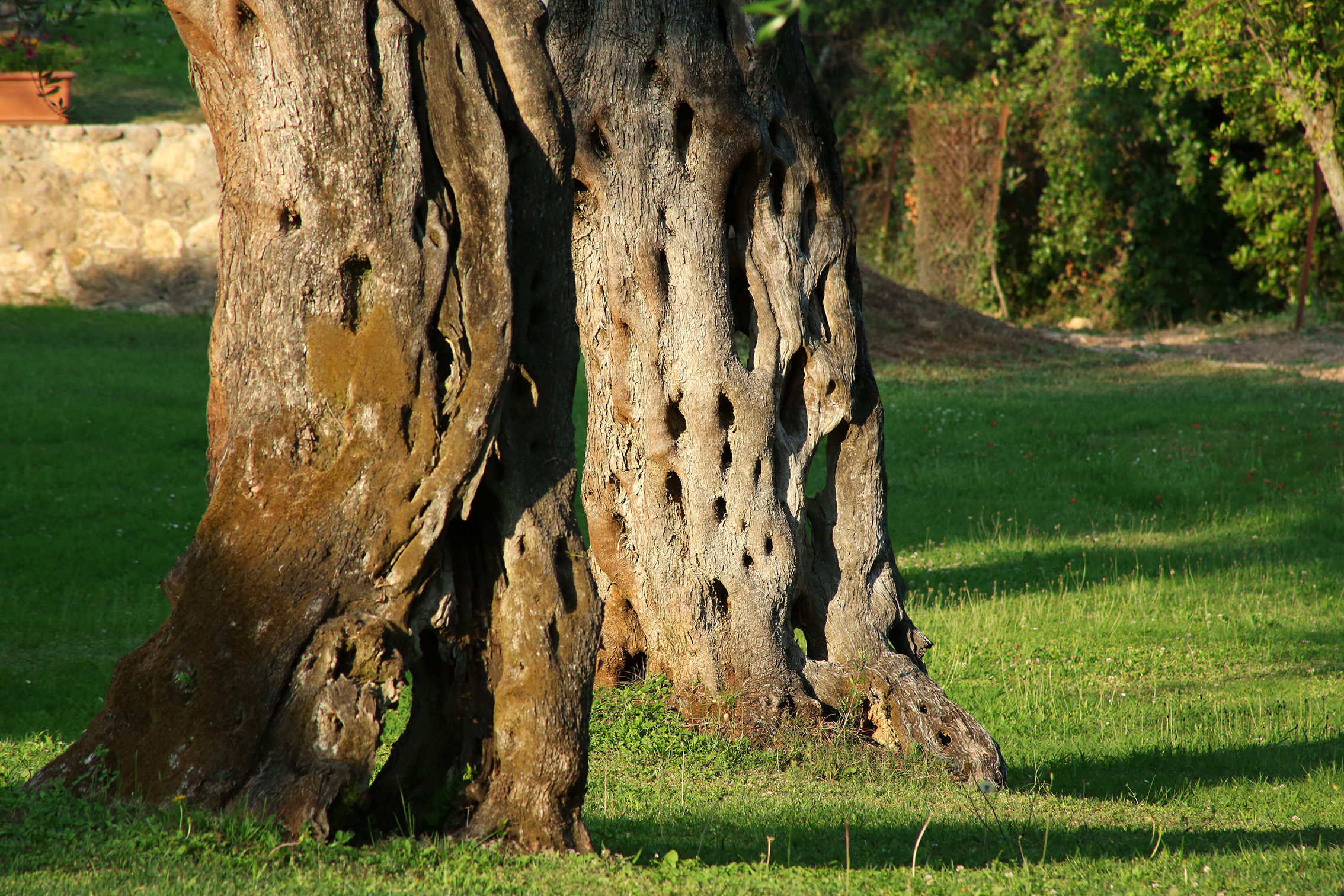 Paradise Hotel Corfu - фото