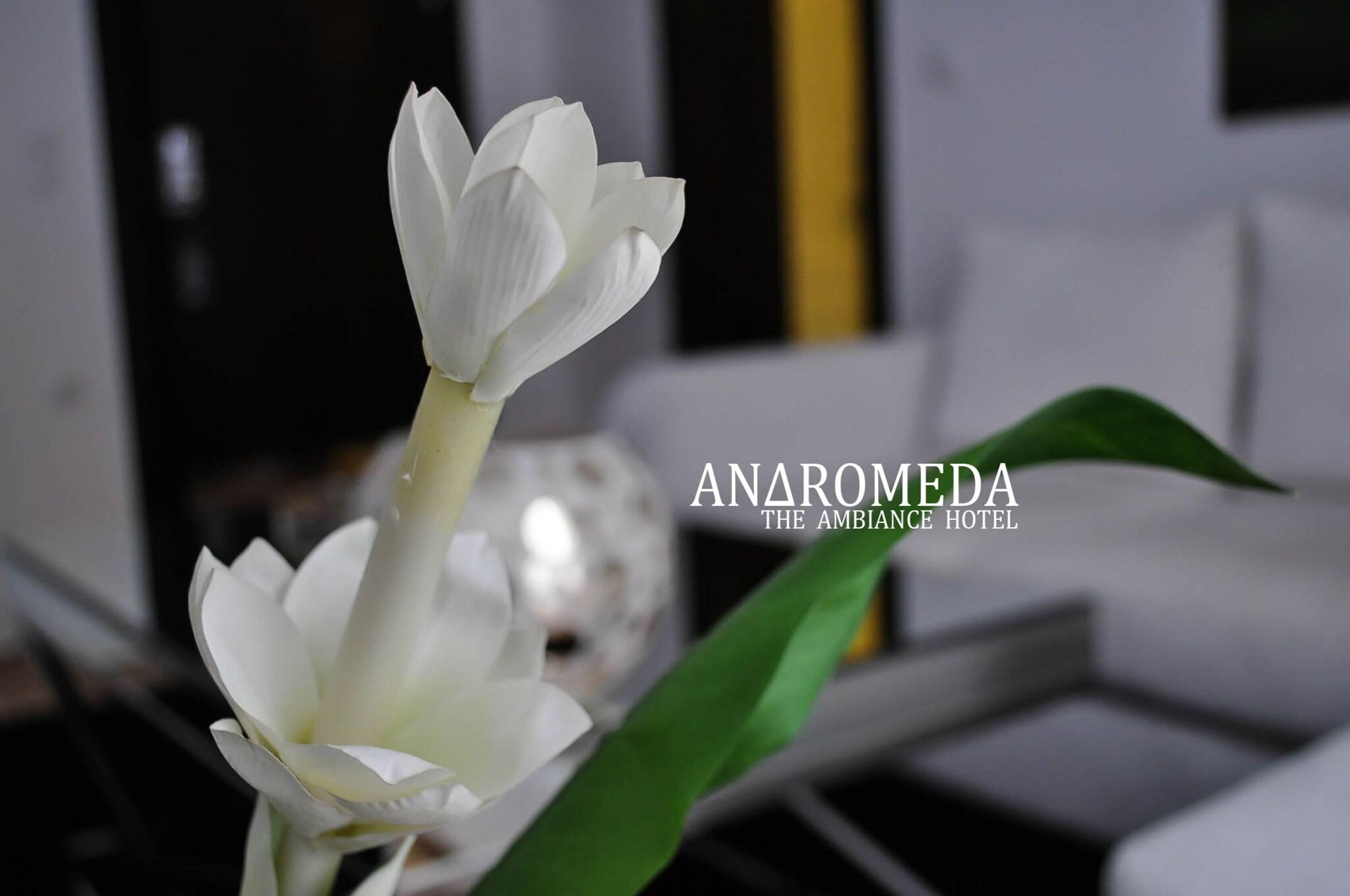 Andromeda - photo