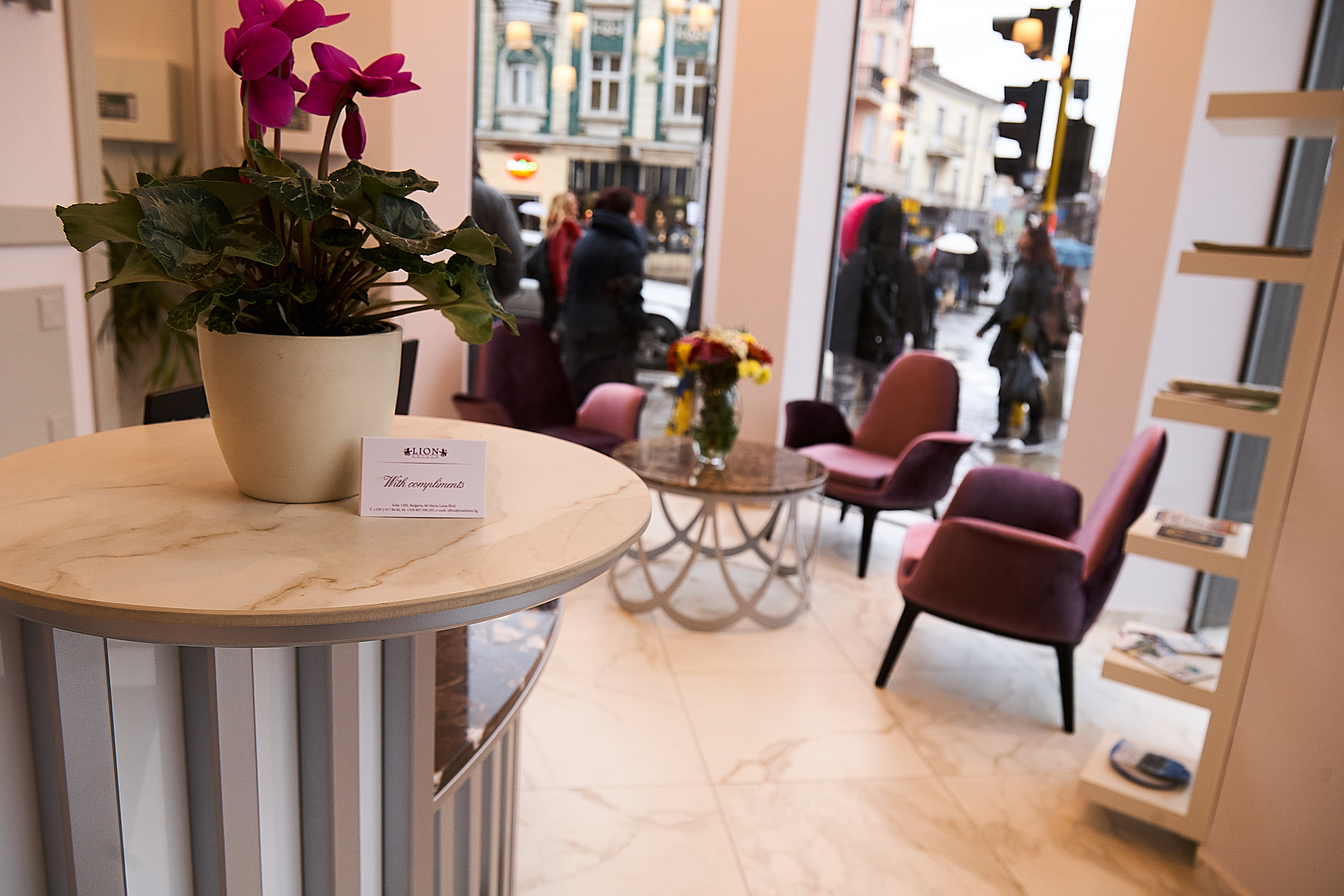 Lion Hotel Sofia - photo