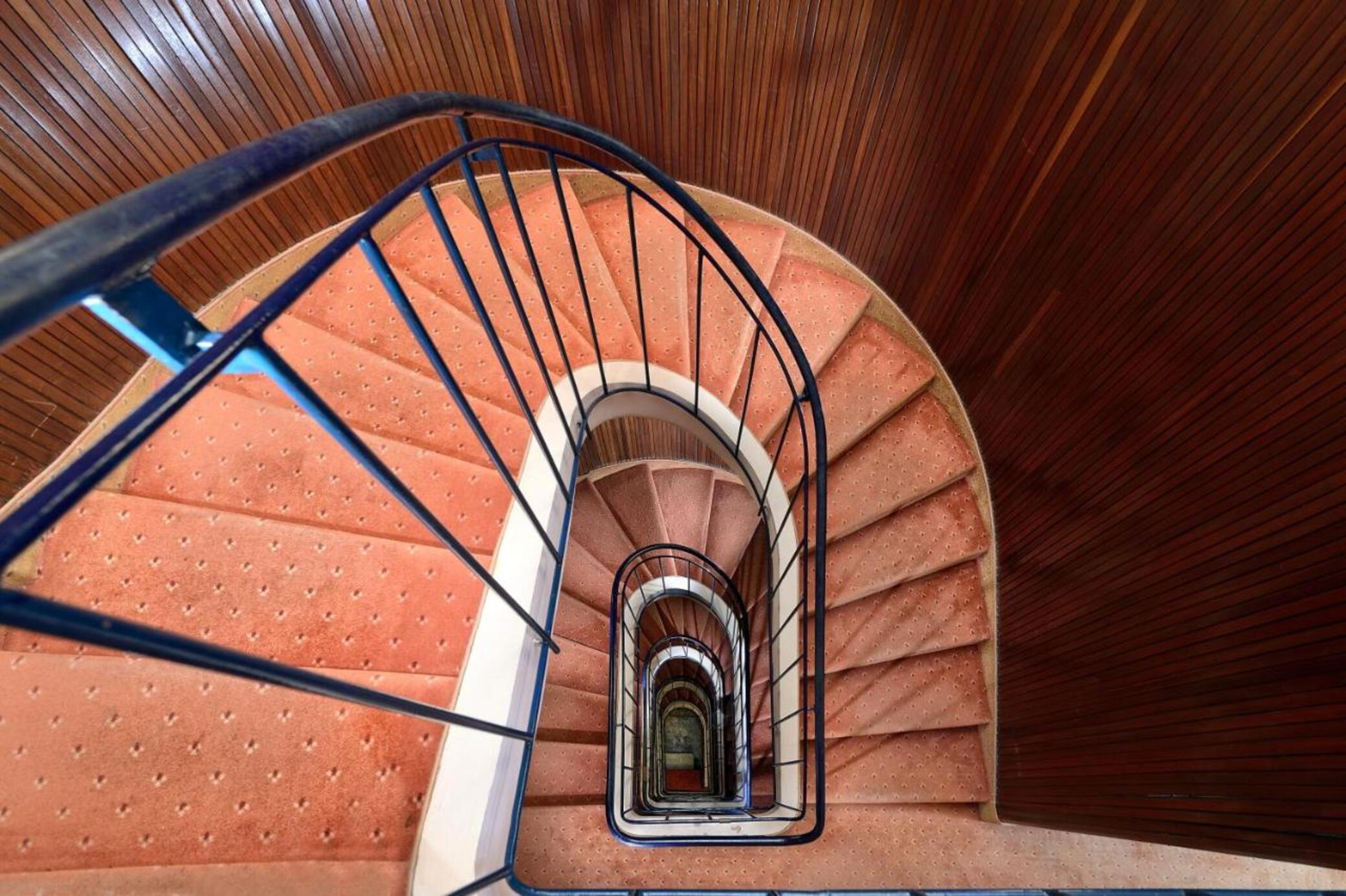 Ambassador Tre Rose - attēls