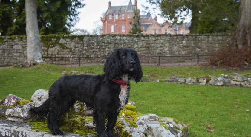 Dryburgh Abbey Hotel