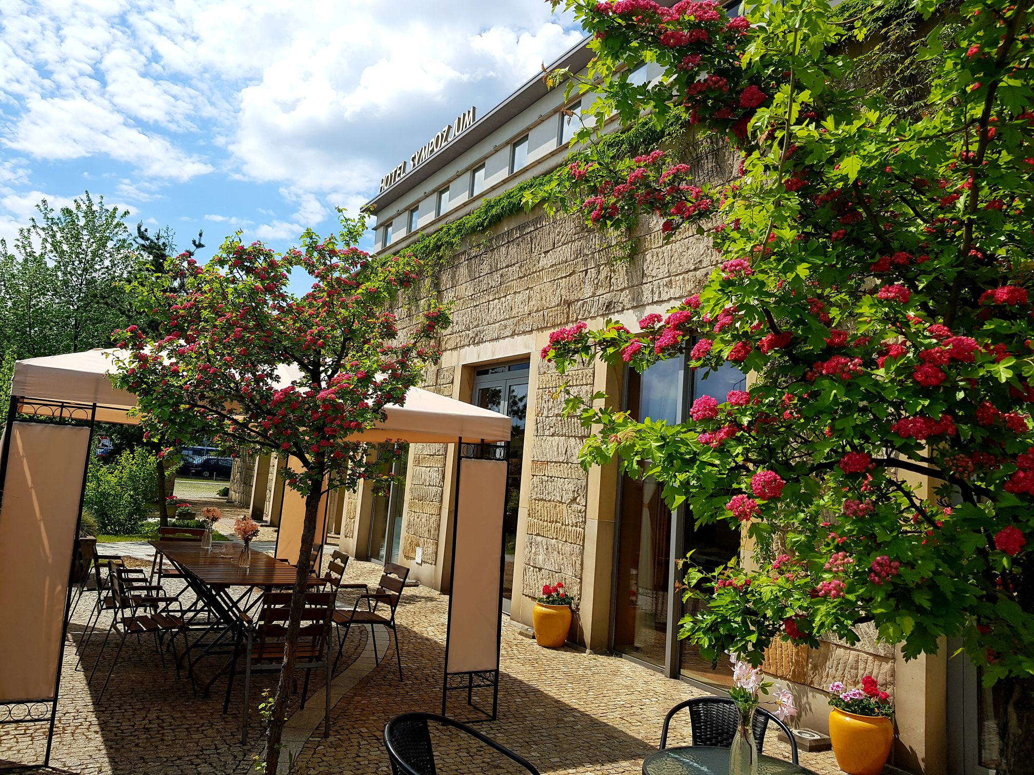 Sympozjum Hotel & Spa - Poză