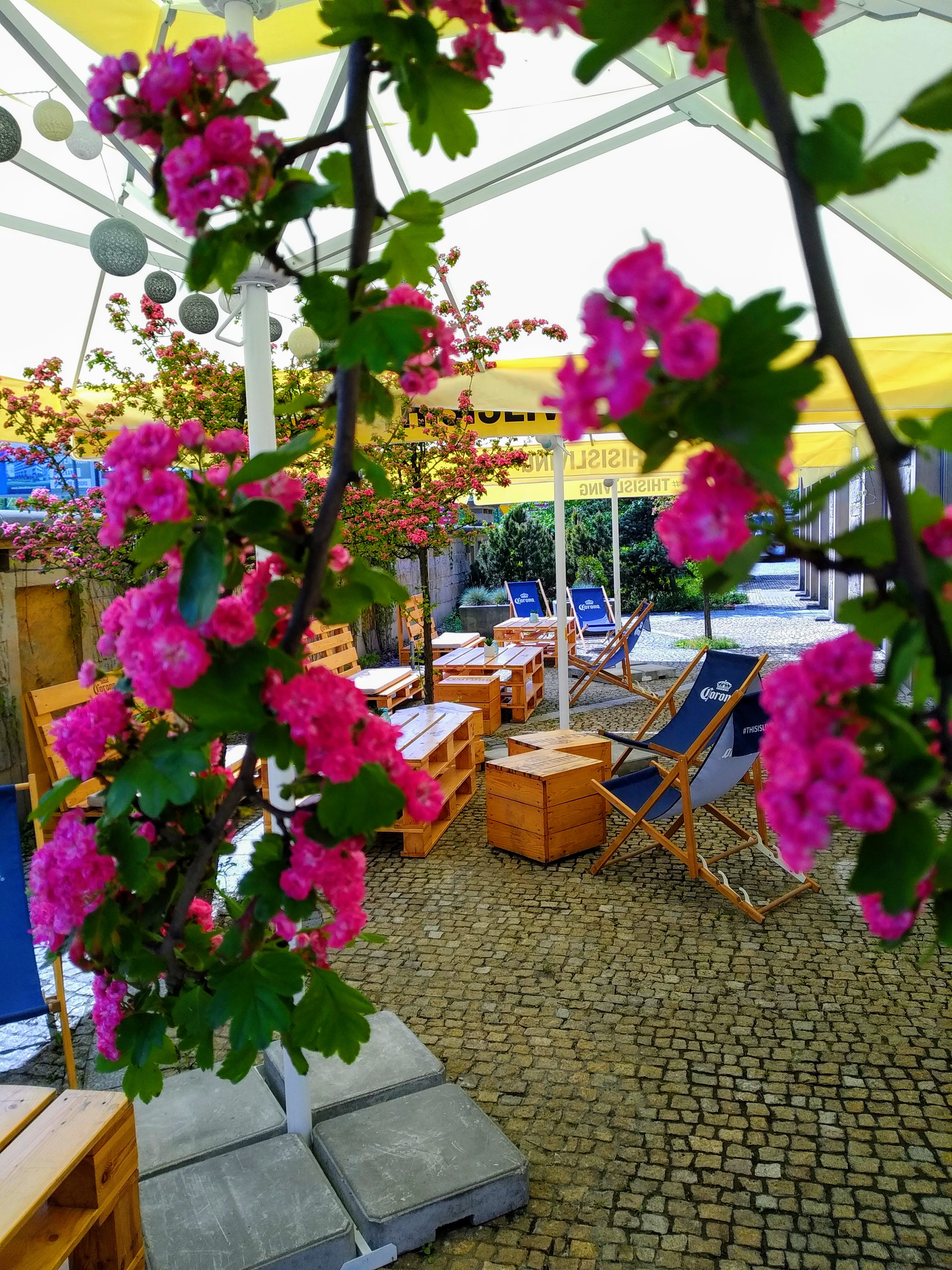 Sympozjum Hotel & Spa - Poză