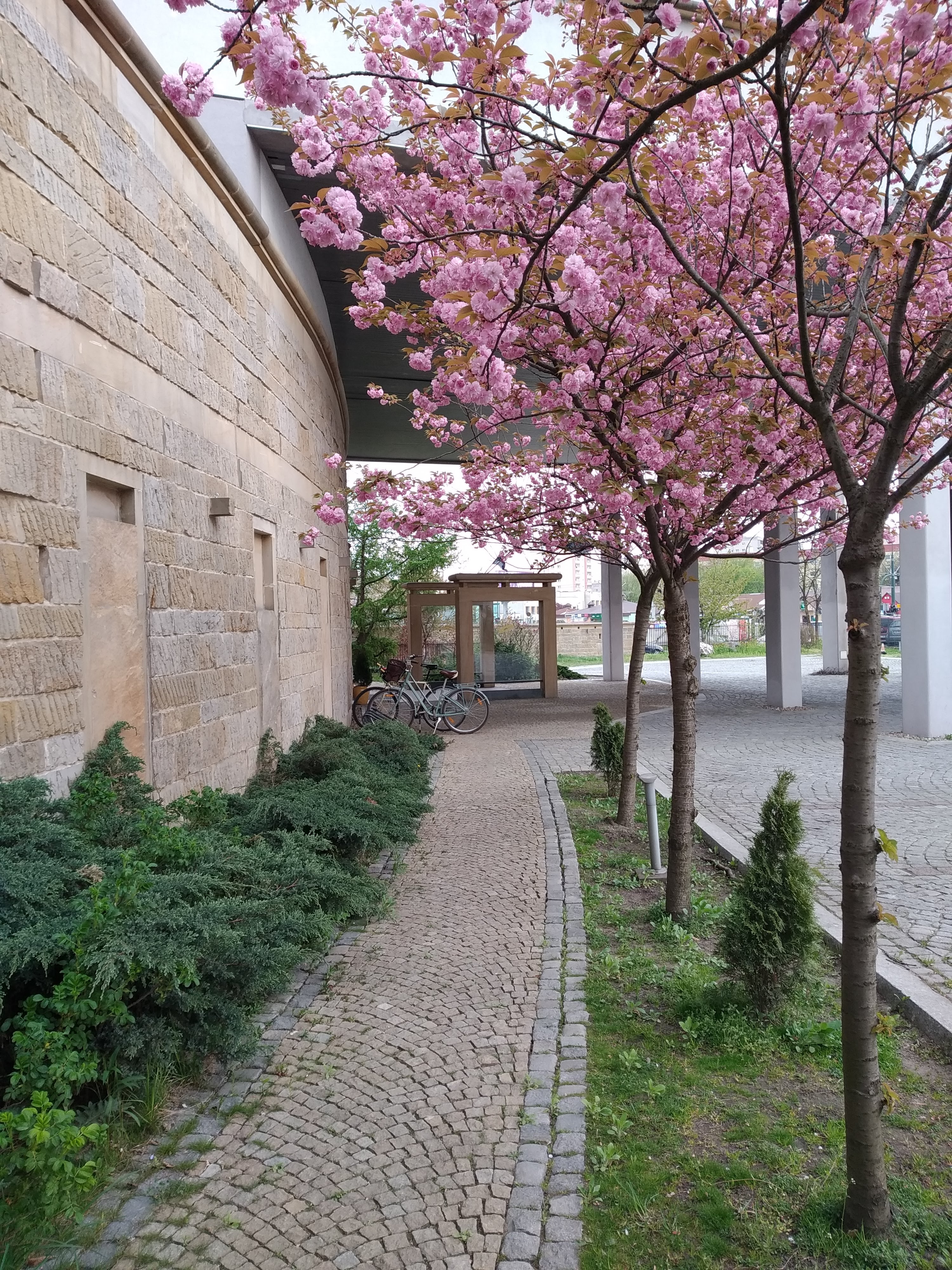 Sympozjum Hotel & Spa - Poză