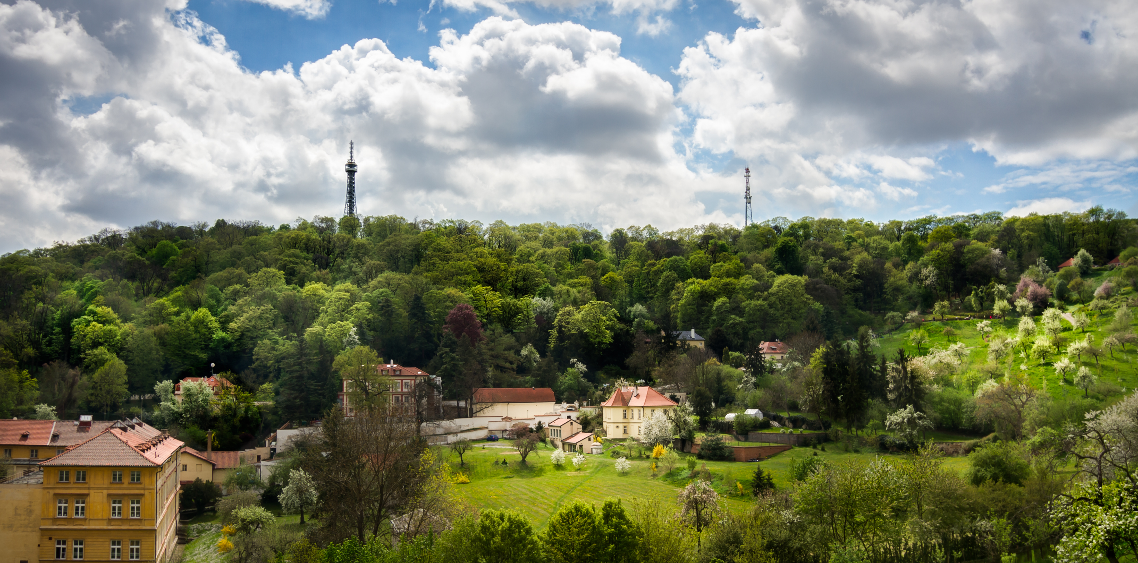 The King Charles - nuotrauka