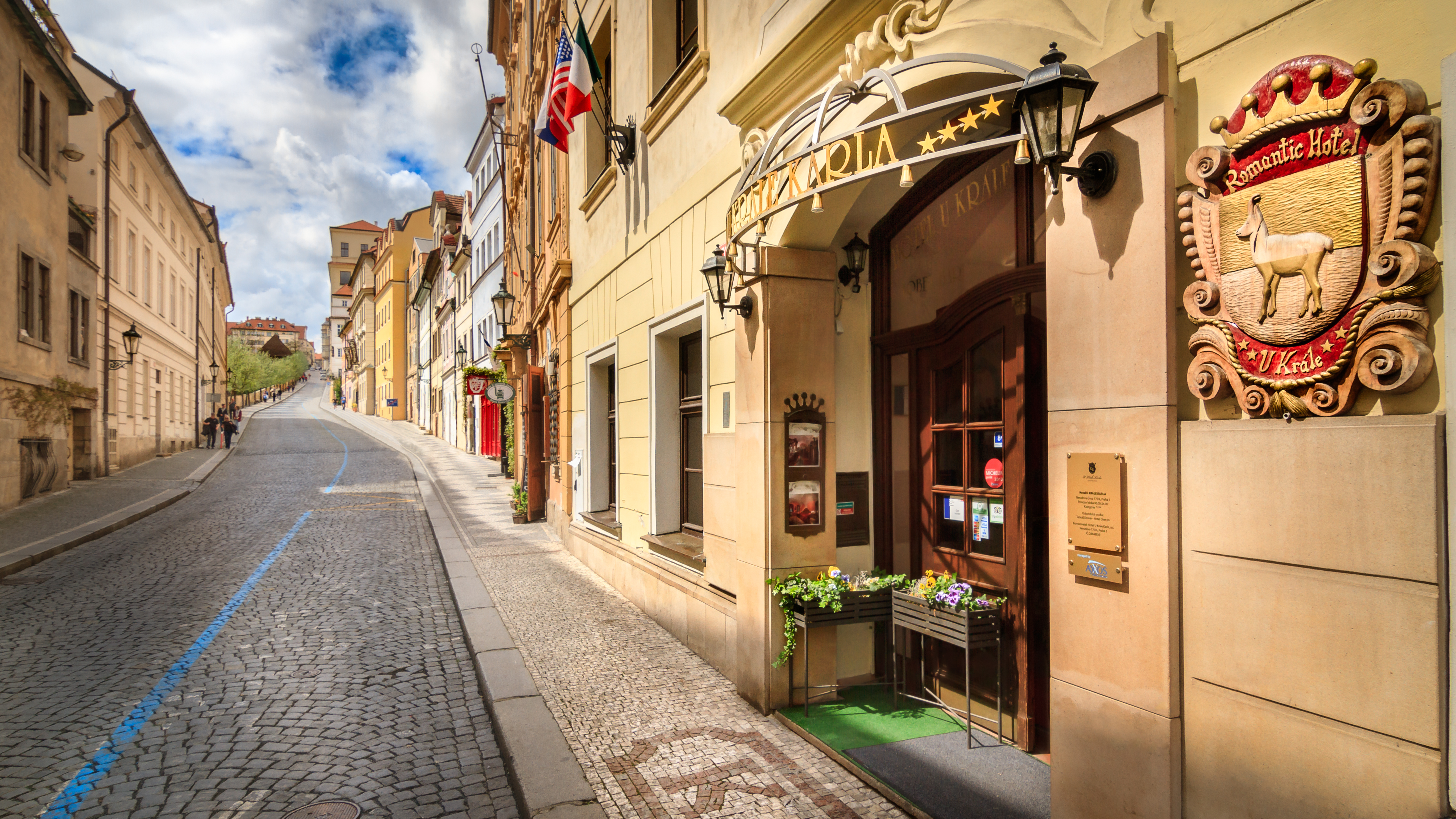 The King Charles - nuotrauka