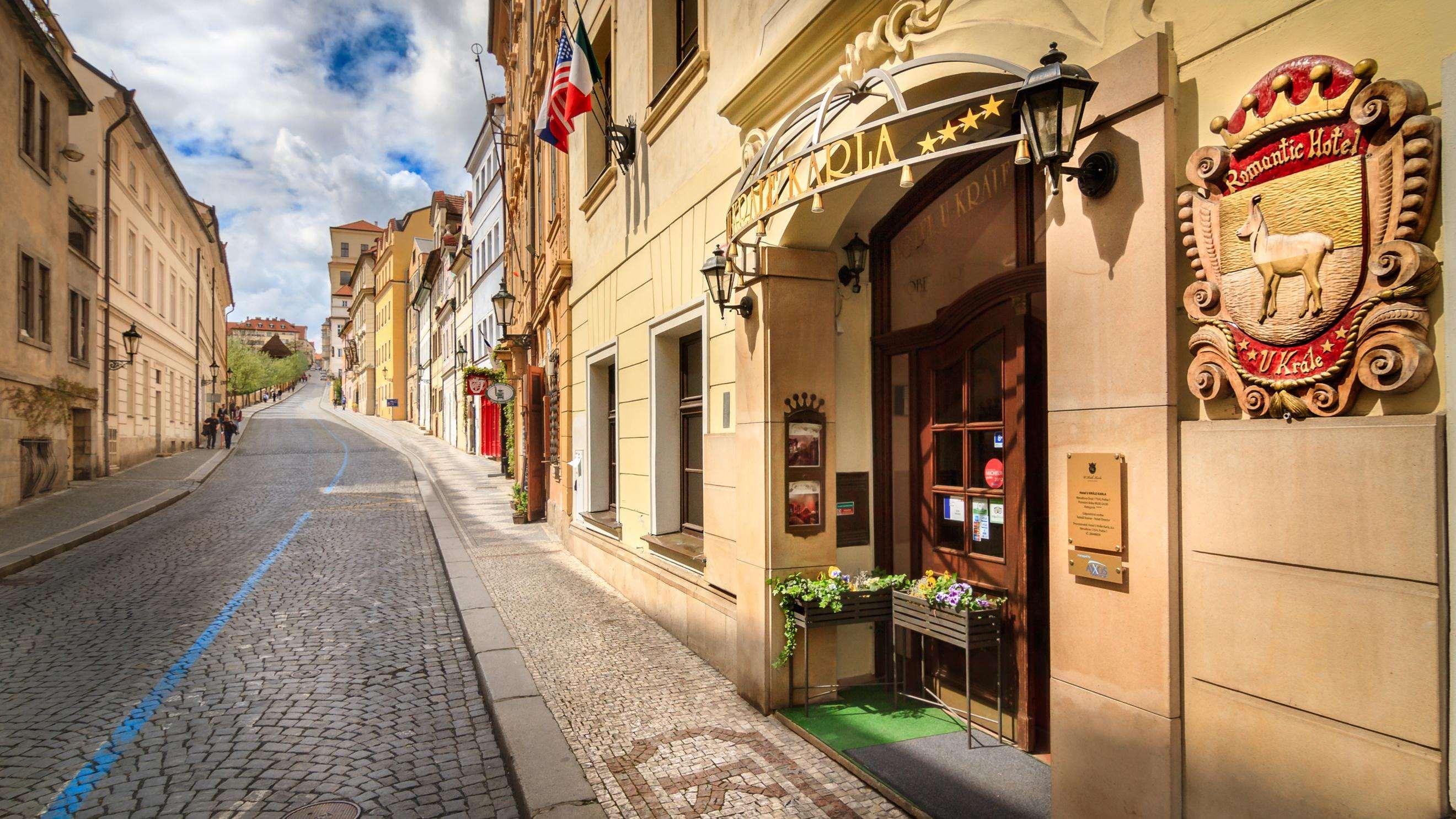 The King Charles - nuotrauka