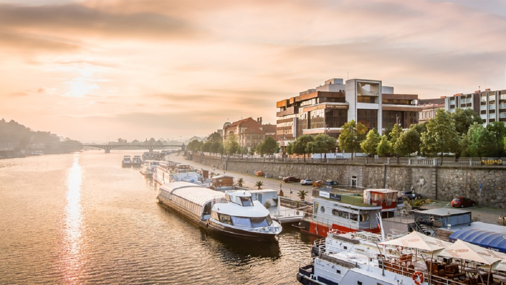 The President - photo