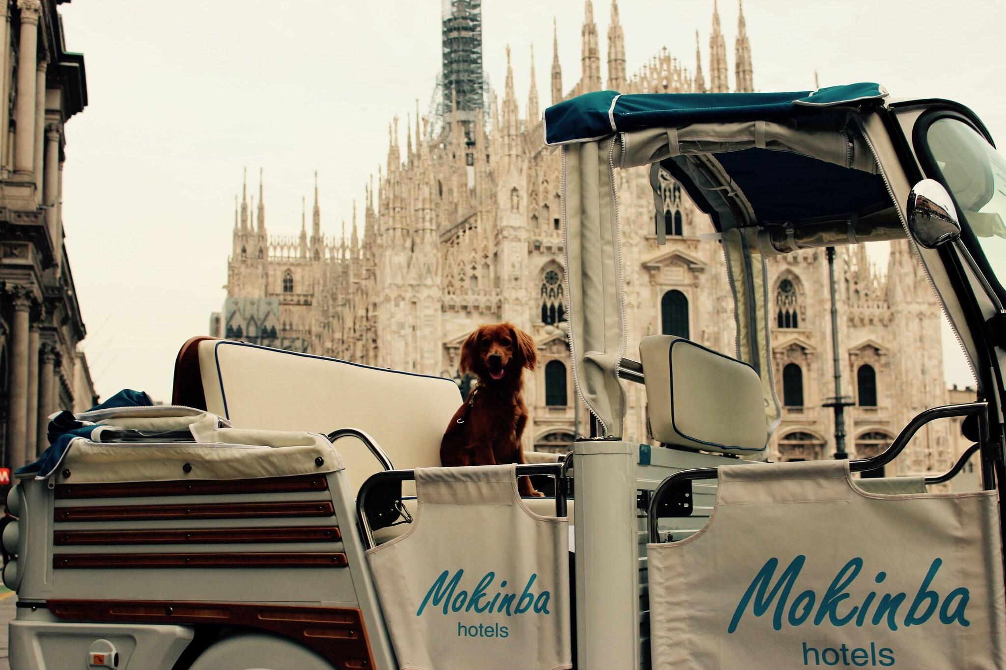 Baviera - Mokinba Hotels - photo