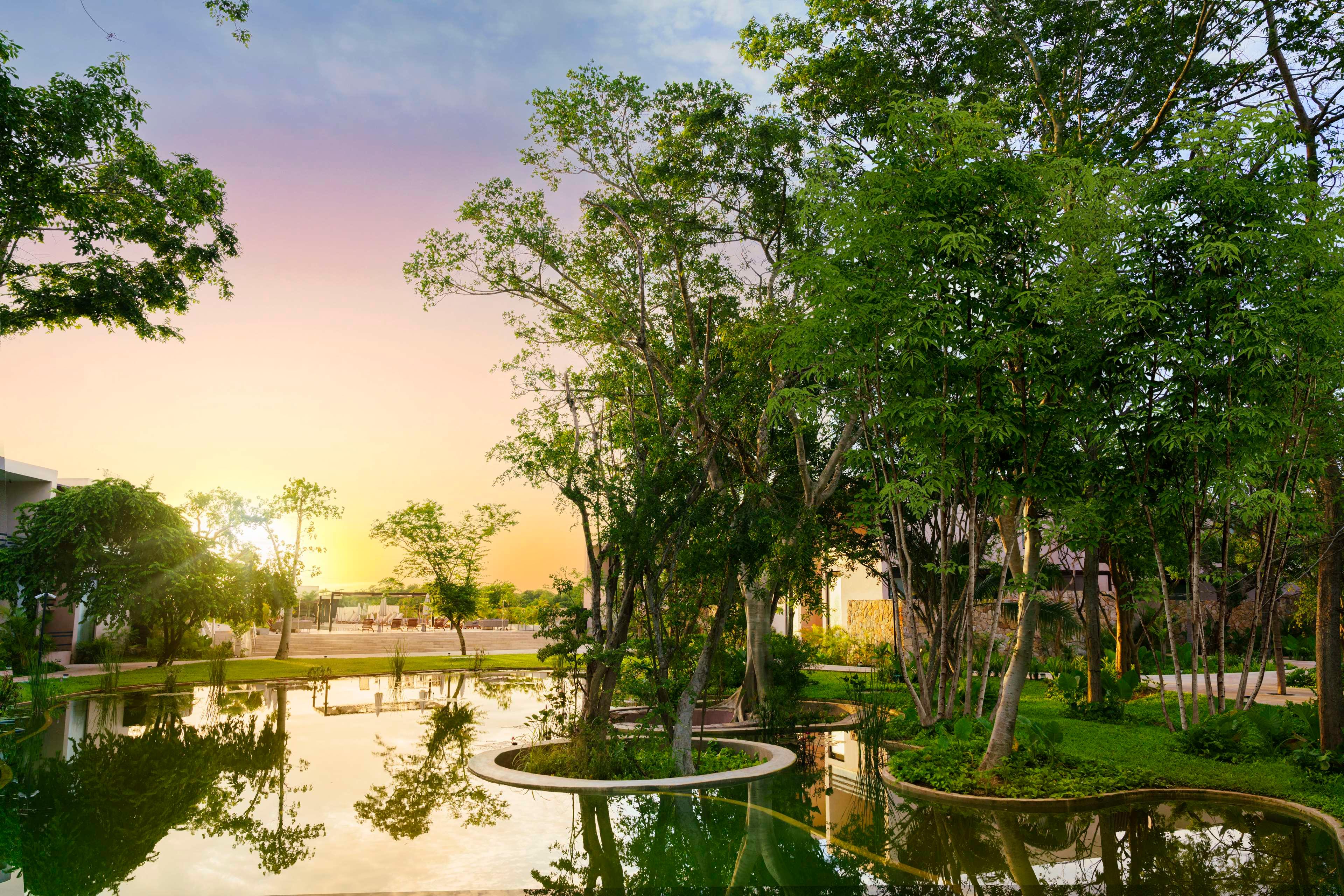 Hacienda Xcanatun by null