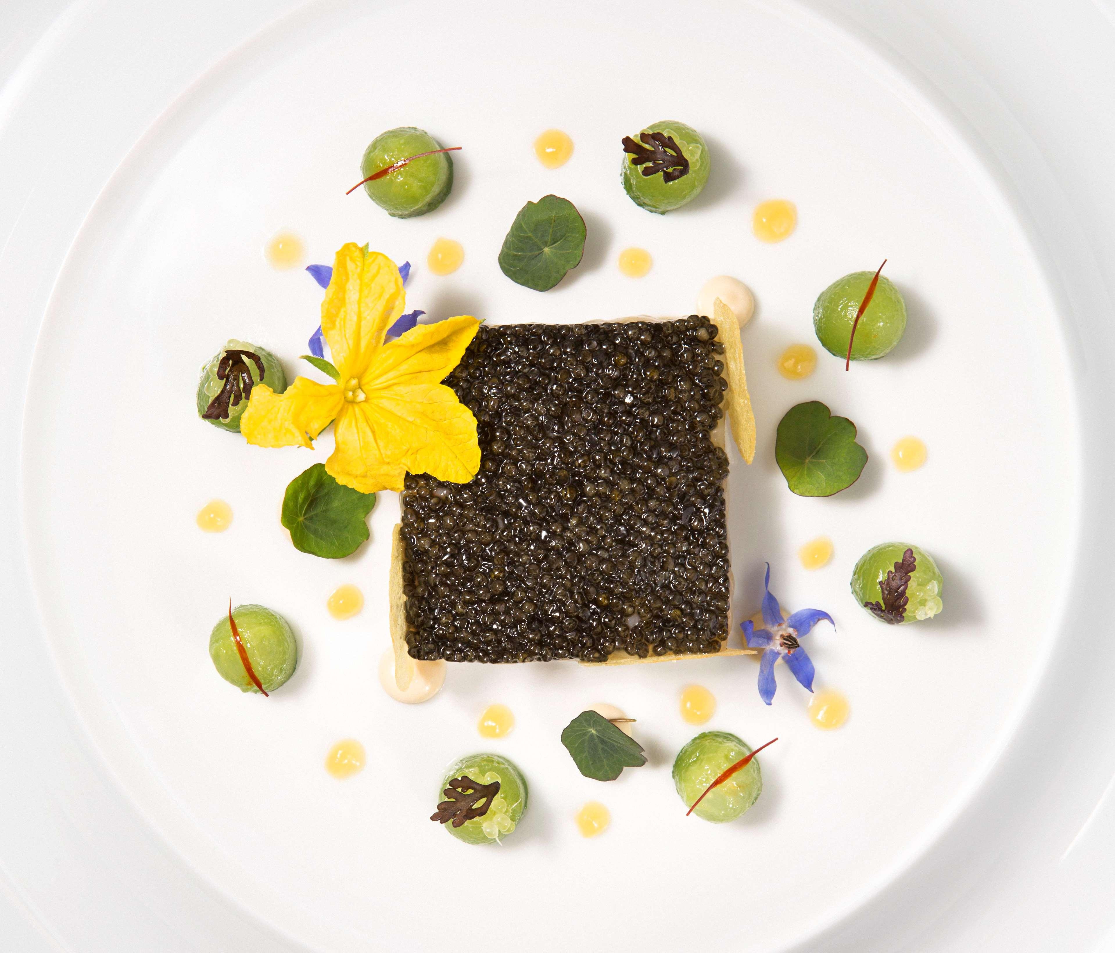 Waldorf Astoria Versailles - Trianon Palace by null