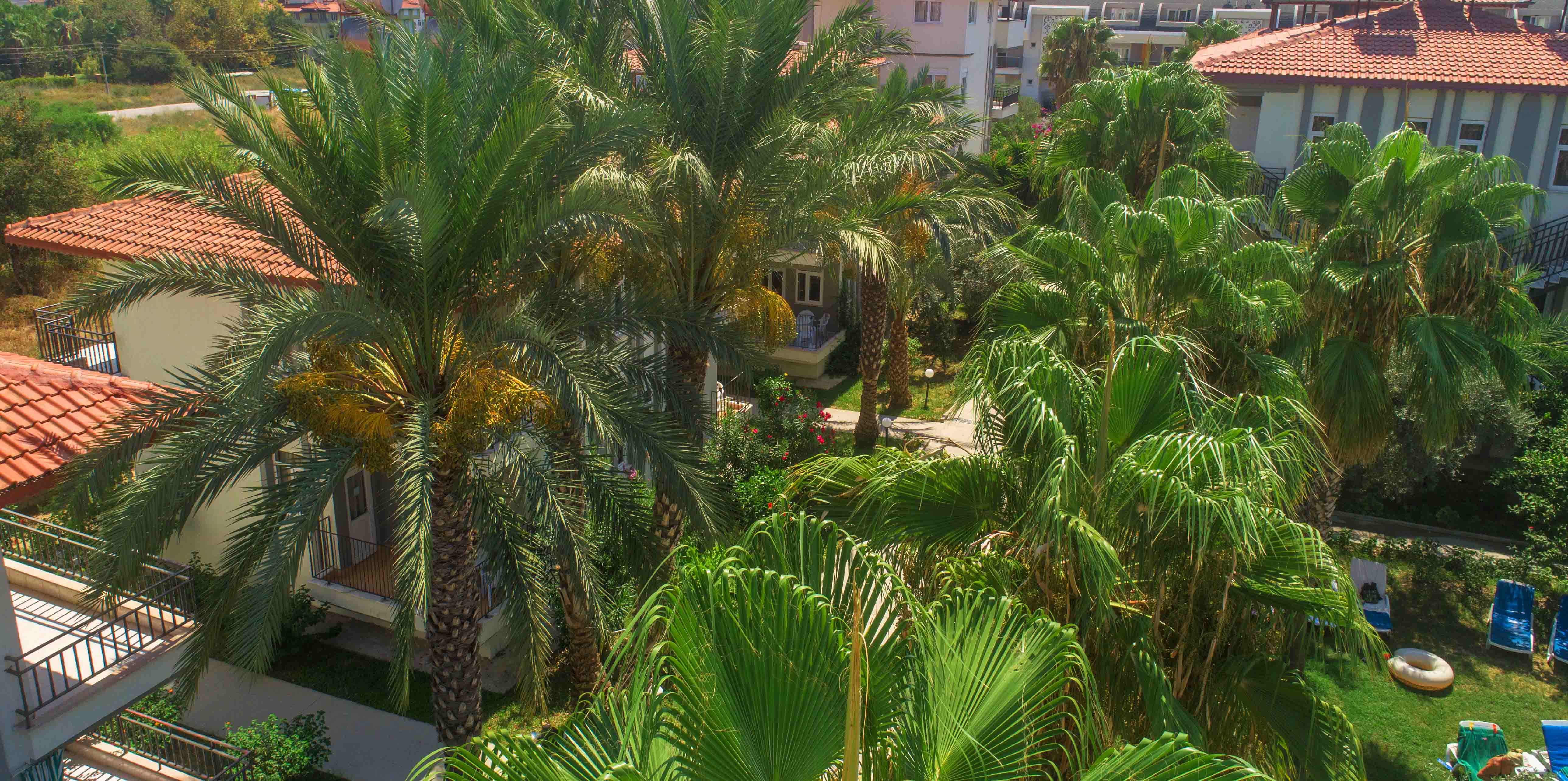 Sunlight Garden Hotel - фото