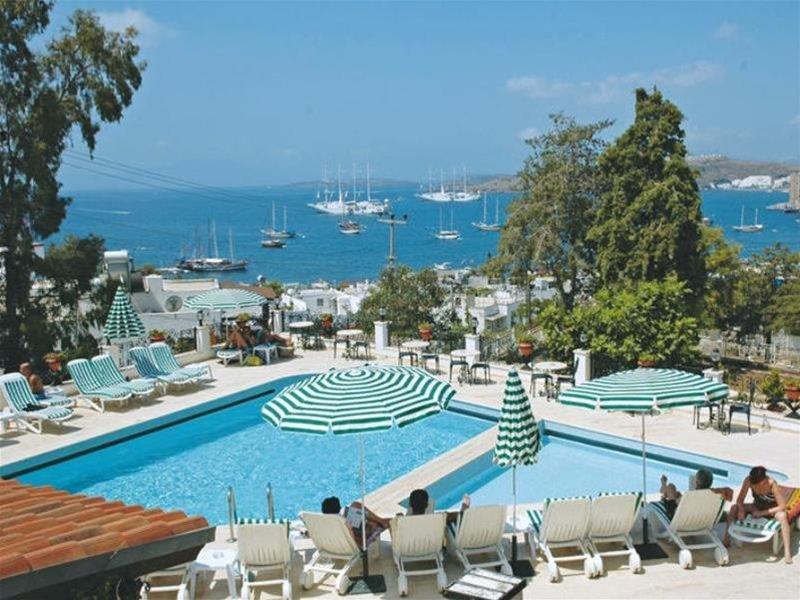 Comca Manzara - фото