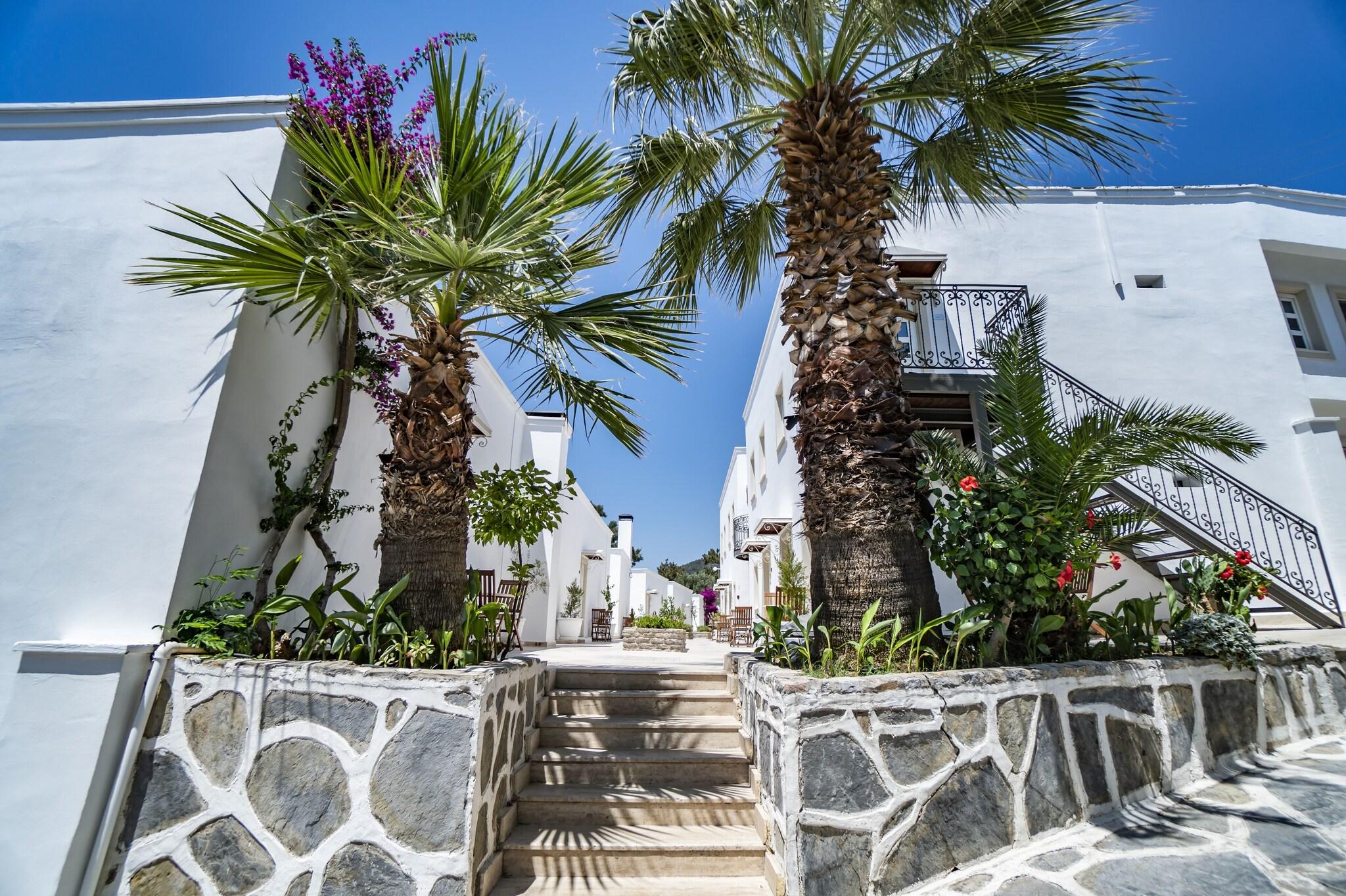 Comca Manzara - фото