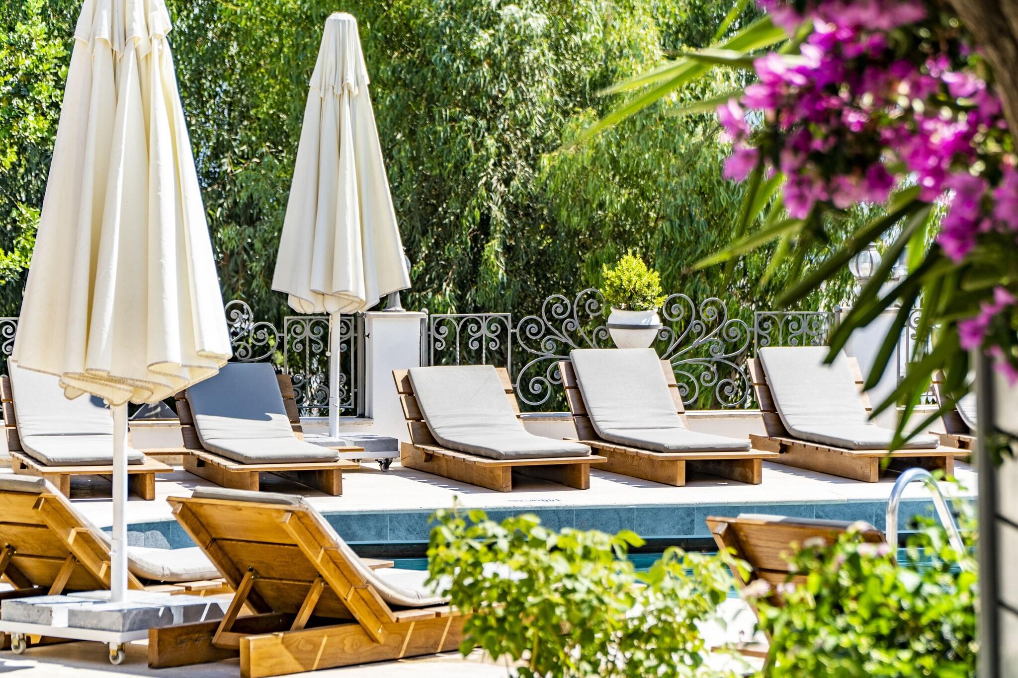 Comca Manzara - фото