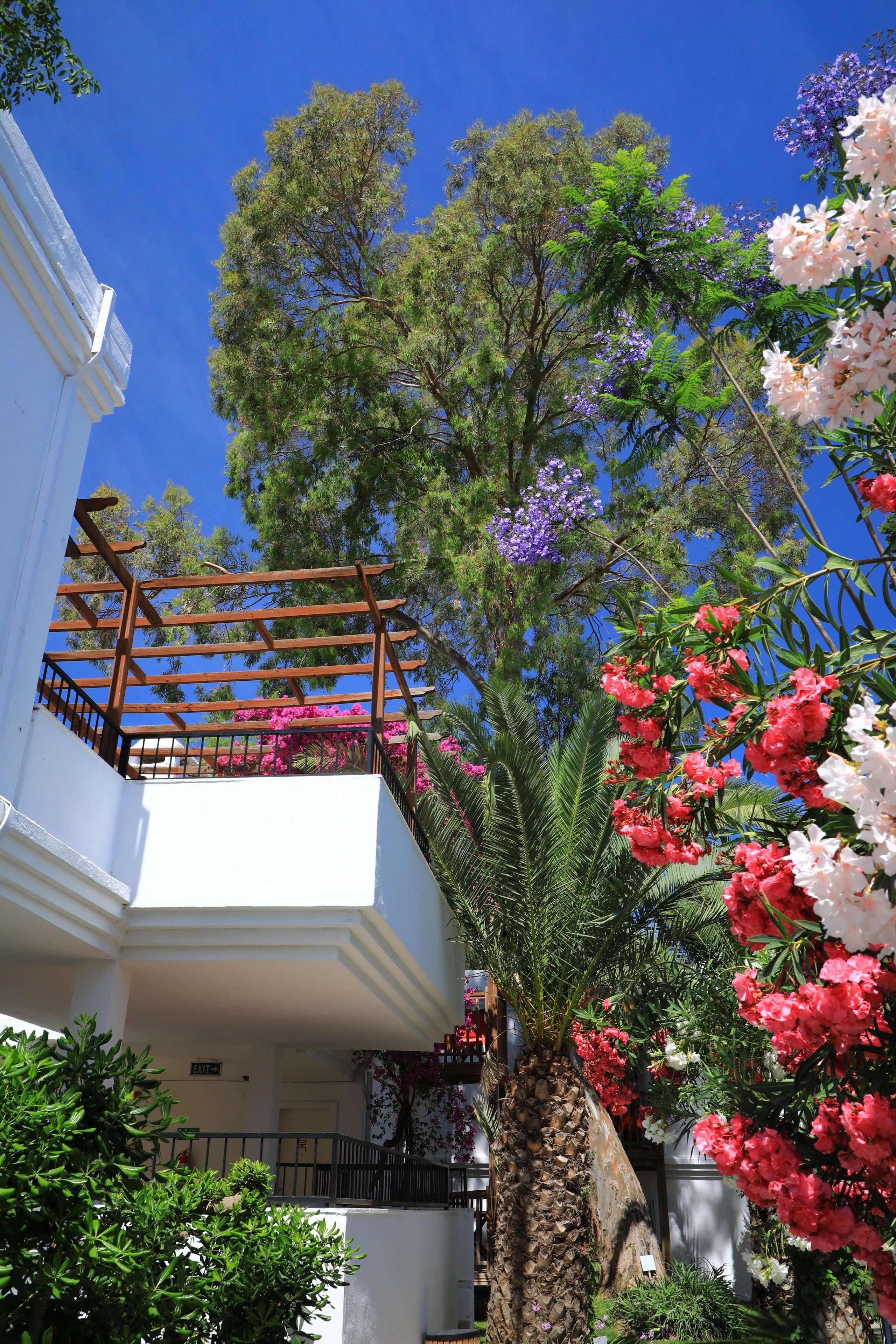OTIUM SENSES VERY CHIC HOTEL IN BODRUM+ 18 - Poză