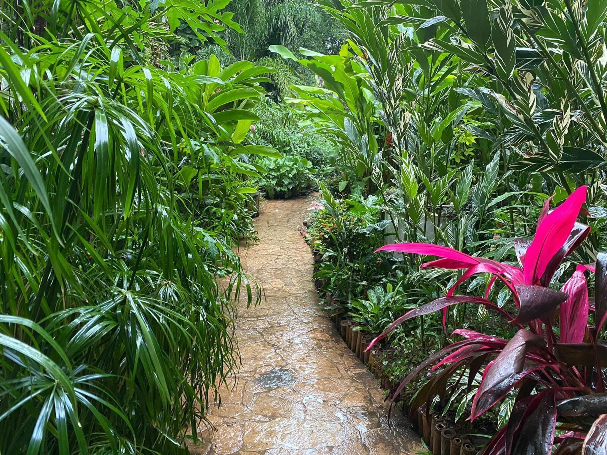 La Ceiba [Hotel Spa & Restaurant] by null