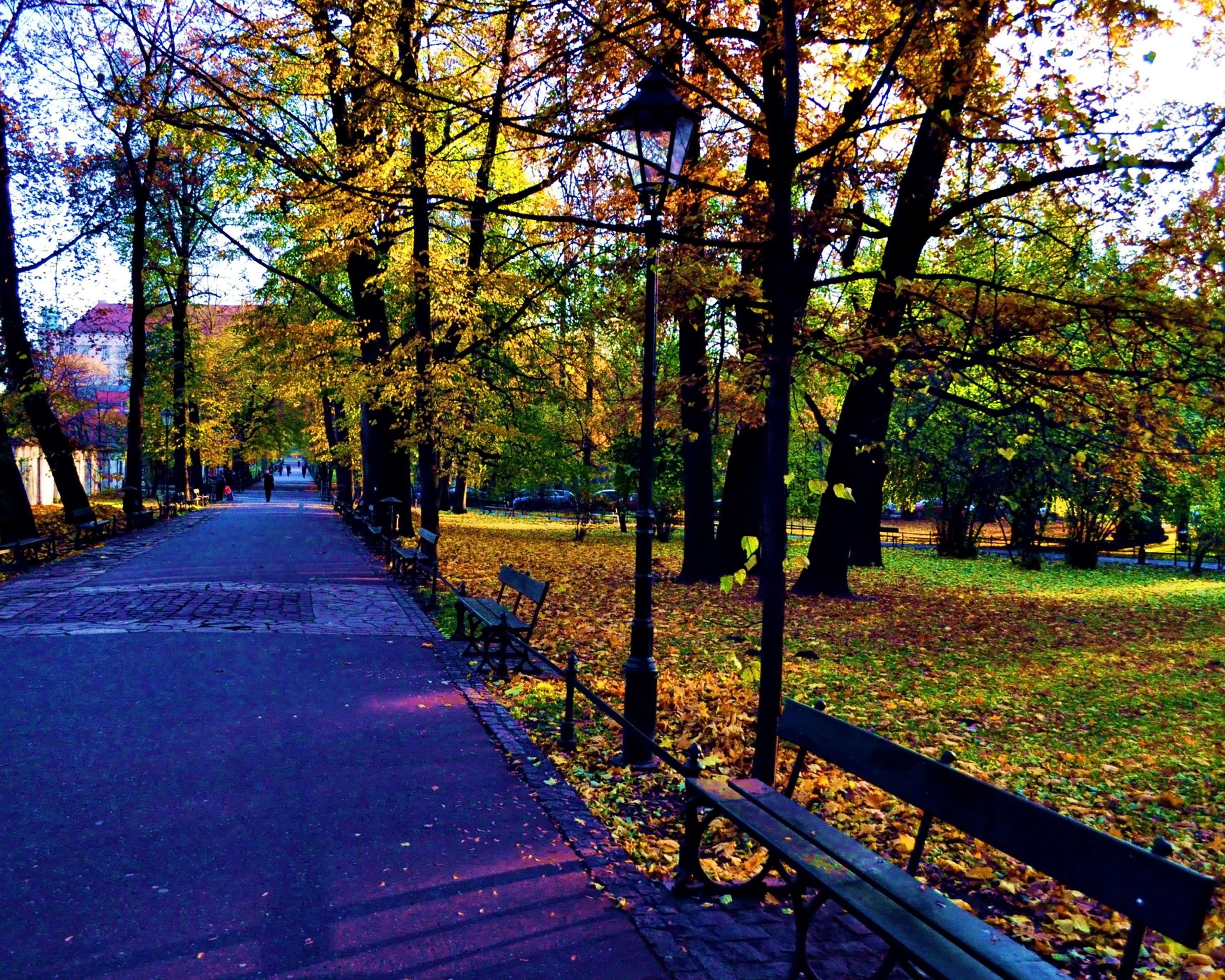 Best Western Plus Krakow Old Town - Poză