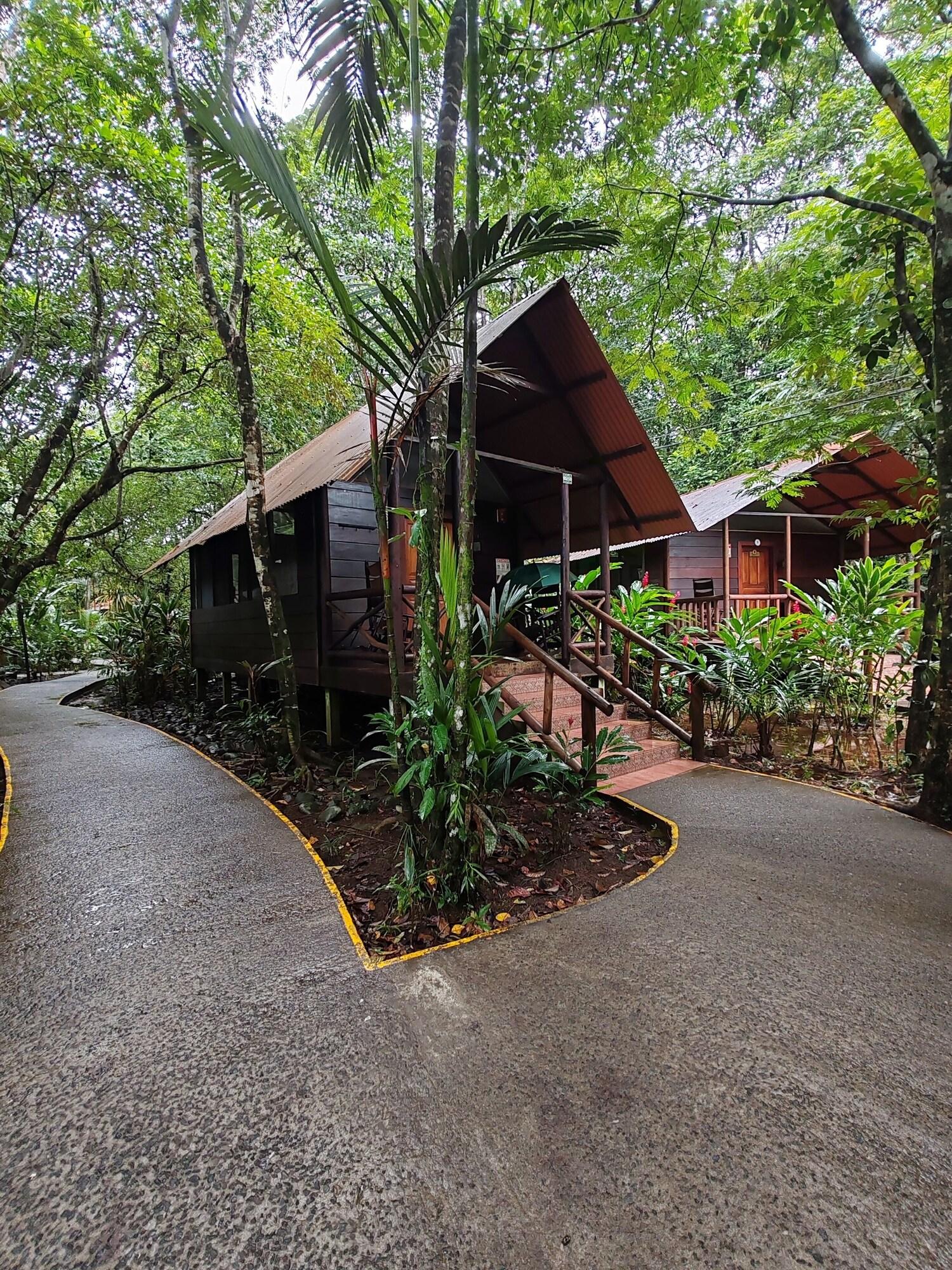 Evergreen Lodge by null