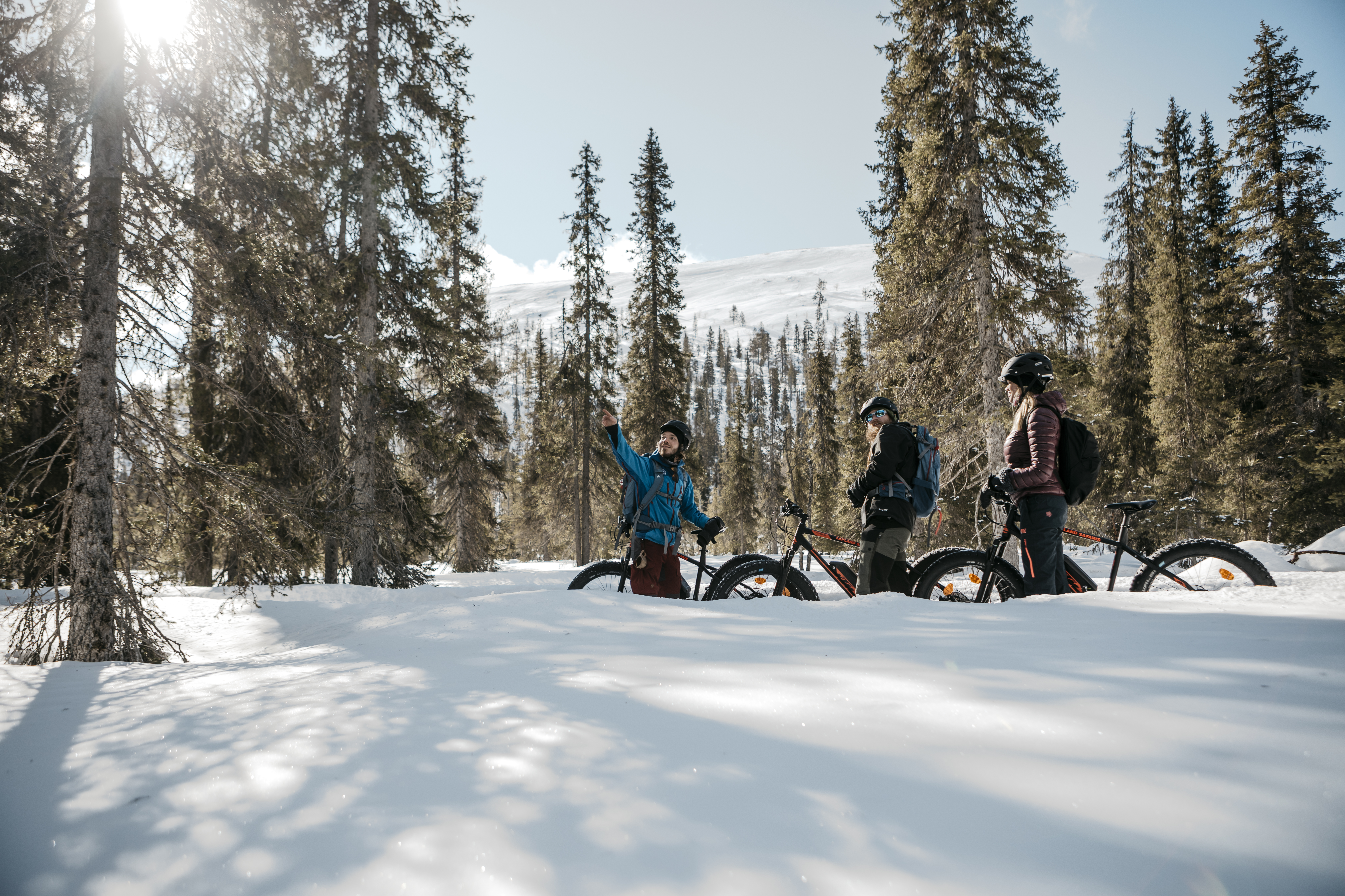 Lapland Hotels Yllaeskaltio